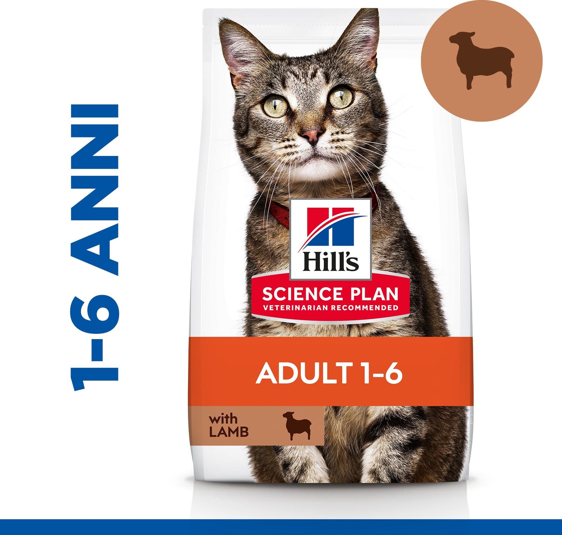 Hill's Mantenimento secco Gatti Adulti agnello in Secco 101 Market - Poggibonsi, commercioVirtuoso.it