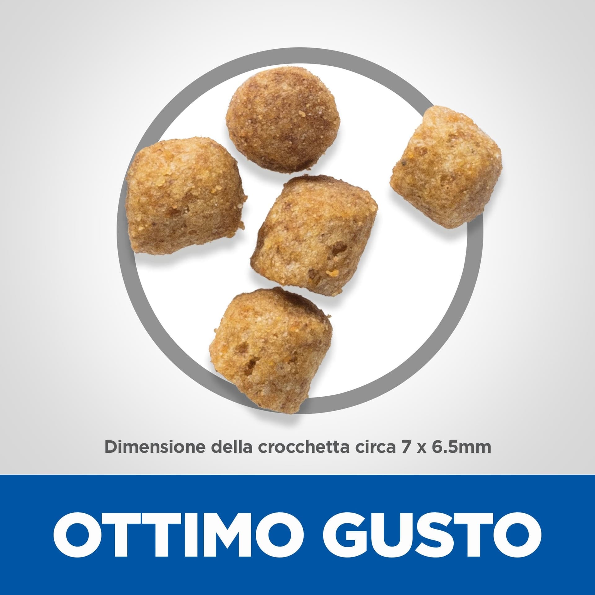 Hill's Mantenimento secco Gatti Adulti agnello in Secco 101 Market - Poggibonsi, commercioVirtuoso.it