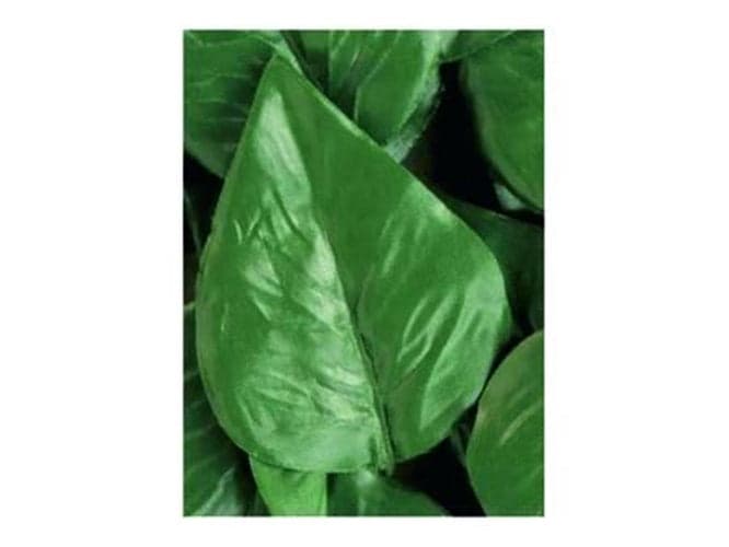 FOGLIE LAURO DI RICAMBIO PER SIEPE ARTIFICIALE -- PZ 20 -- FER 245524 in prodotto EuroStore07 - Alatri, commercioVirtuoso.it
