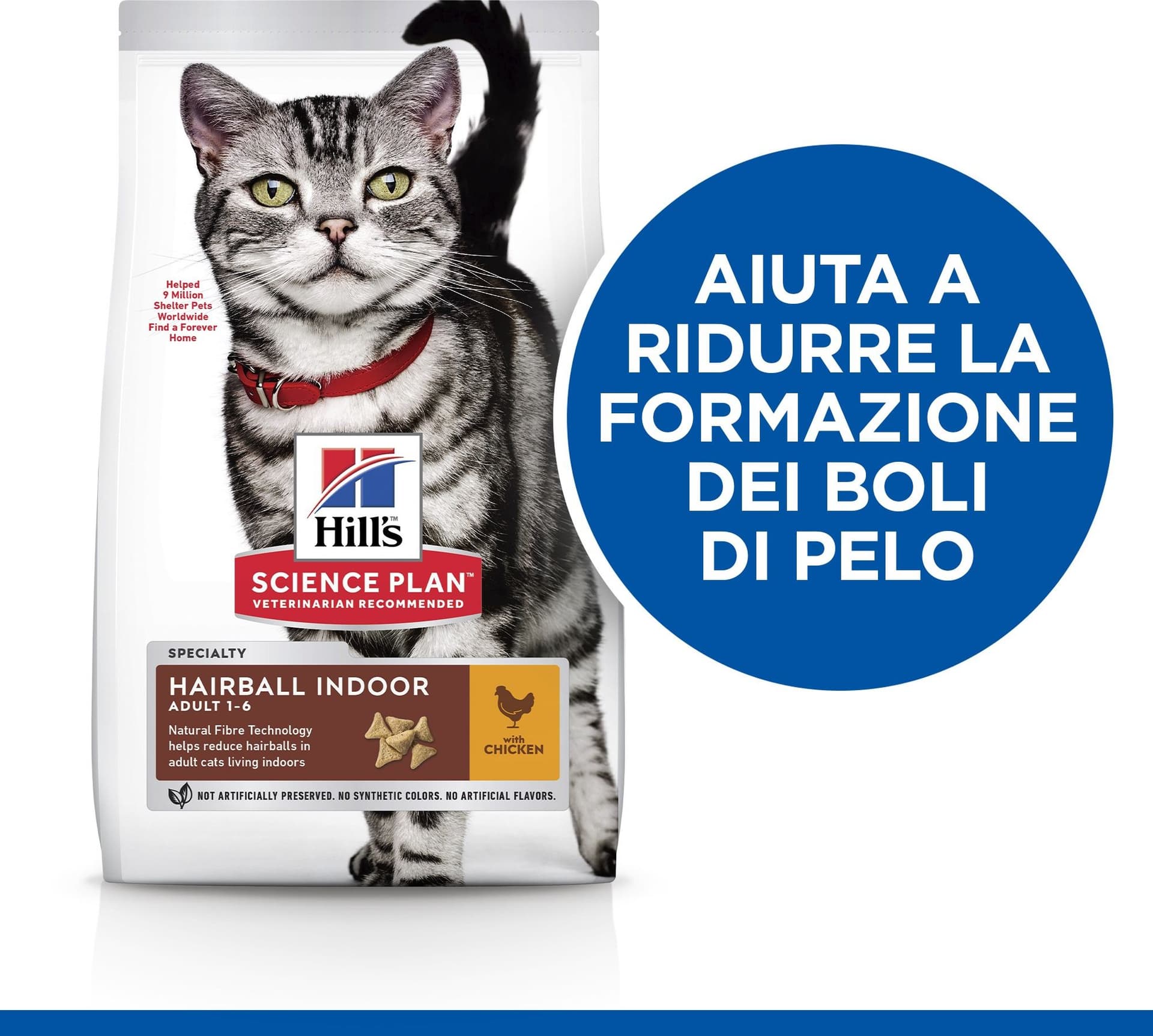 Hill's Hairball Indoor secco Gatti Adulti pollo in Secco 101 Market - Poggibonsi, commercioVirtuoso.it
