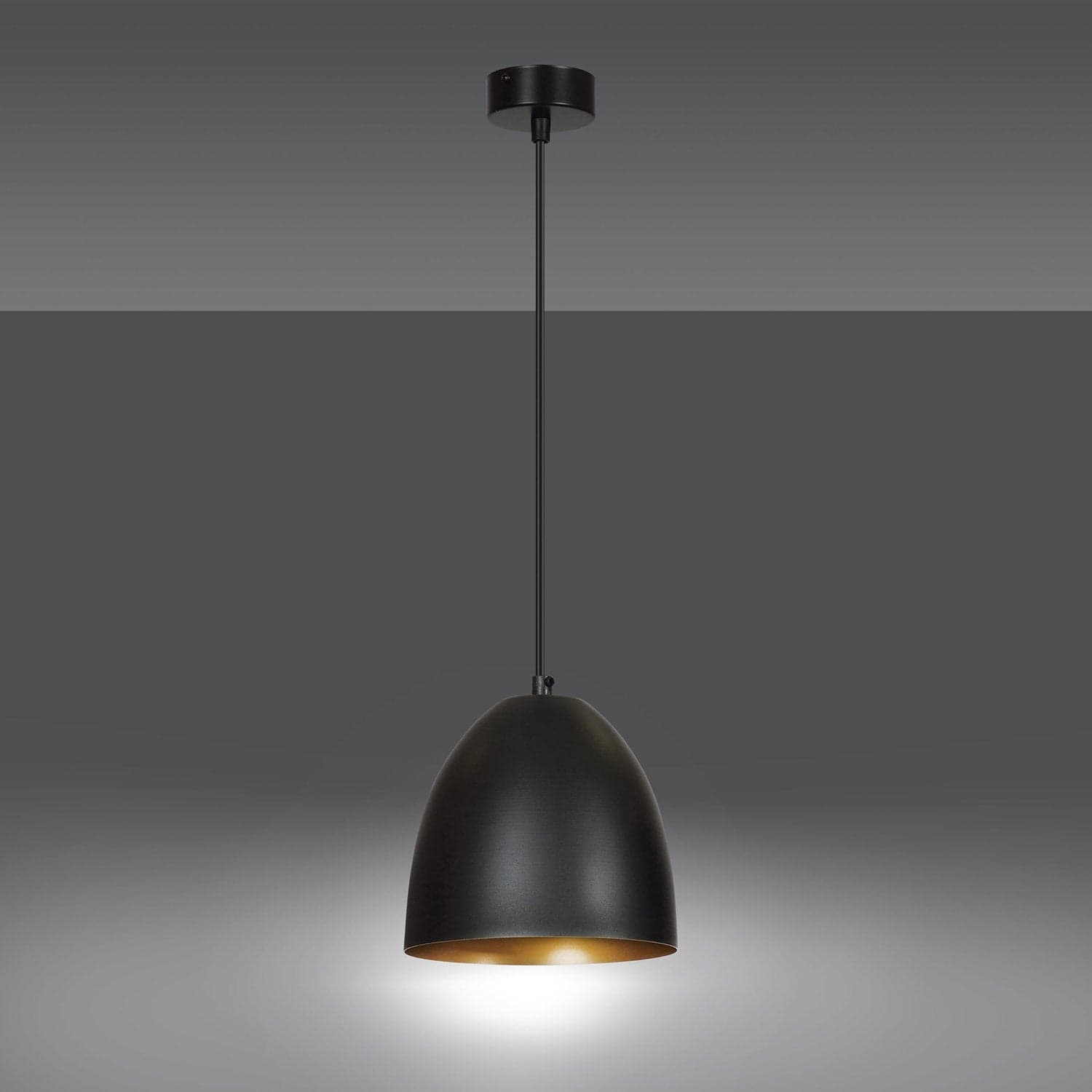 Sospensione 1 Luce Lenox In Acciaio Nero A Cupola Nero E Oro in Lampade a sospensione LuceArt - Montecorvino Pugliano, commercioVirtuoso.it