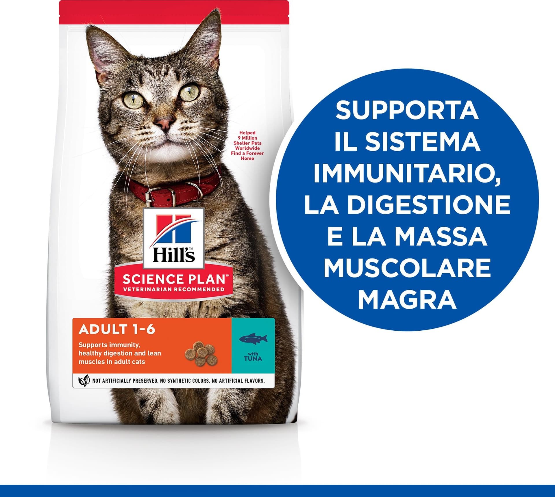Hill's Mantenimento secco Gatti Adulti tonno in Secco 101 Market - Poggibonsi, commercioVirtuoso.it