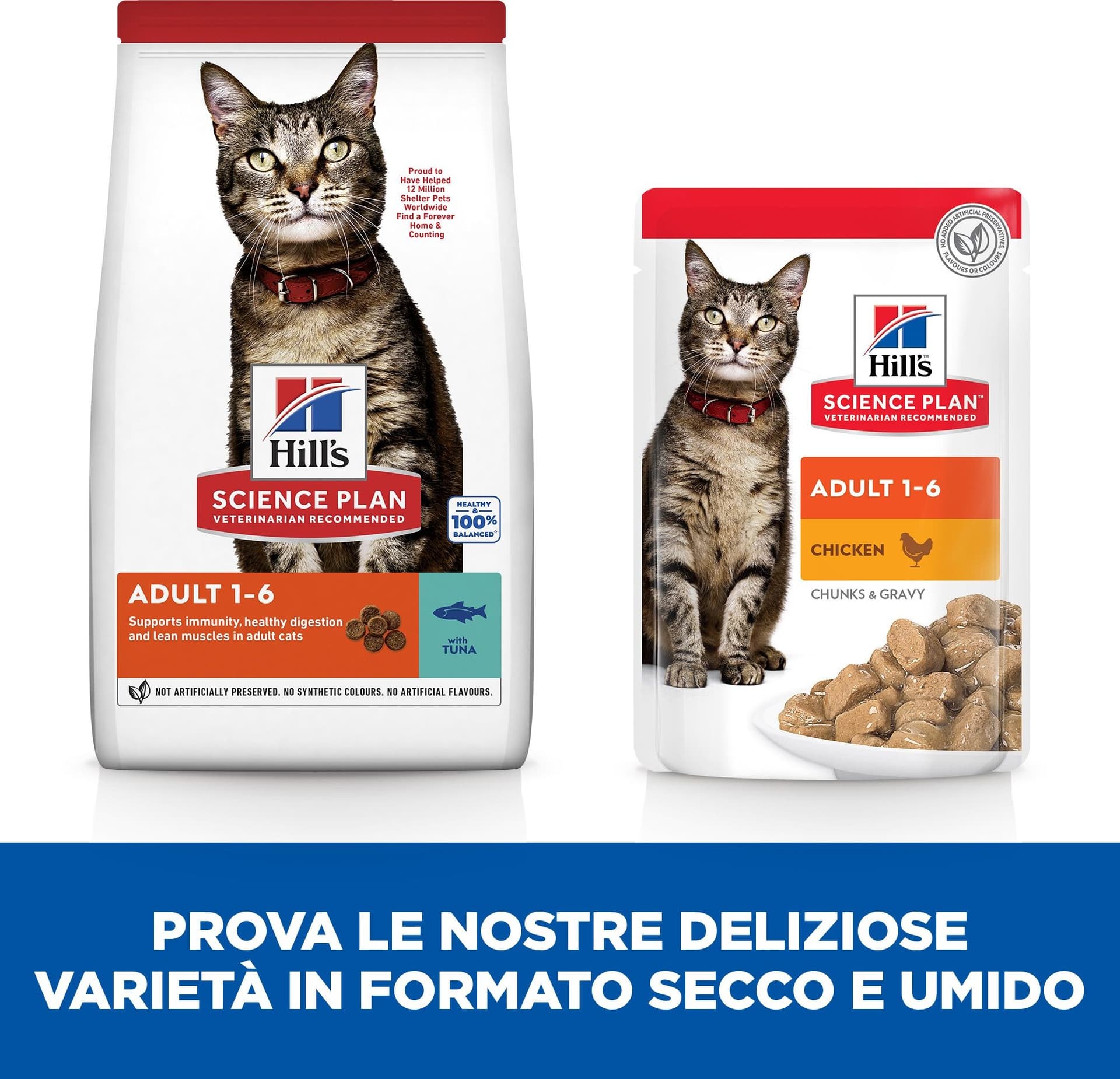 Hill's Mantenimento secco Gatti Adulti tonno in Secco 101 Market - Poggibonsi, commercioVirtuoso.it