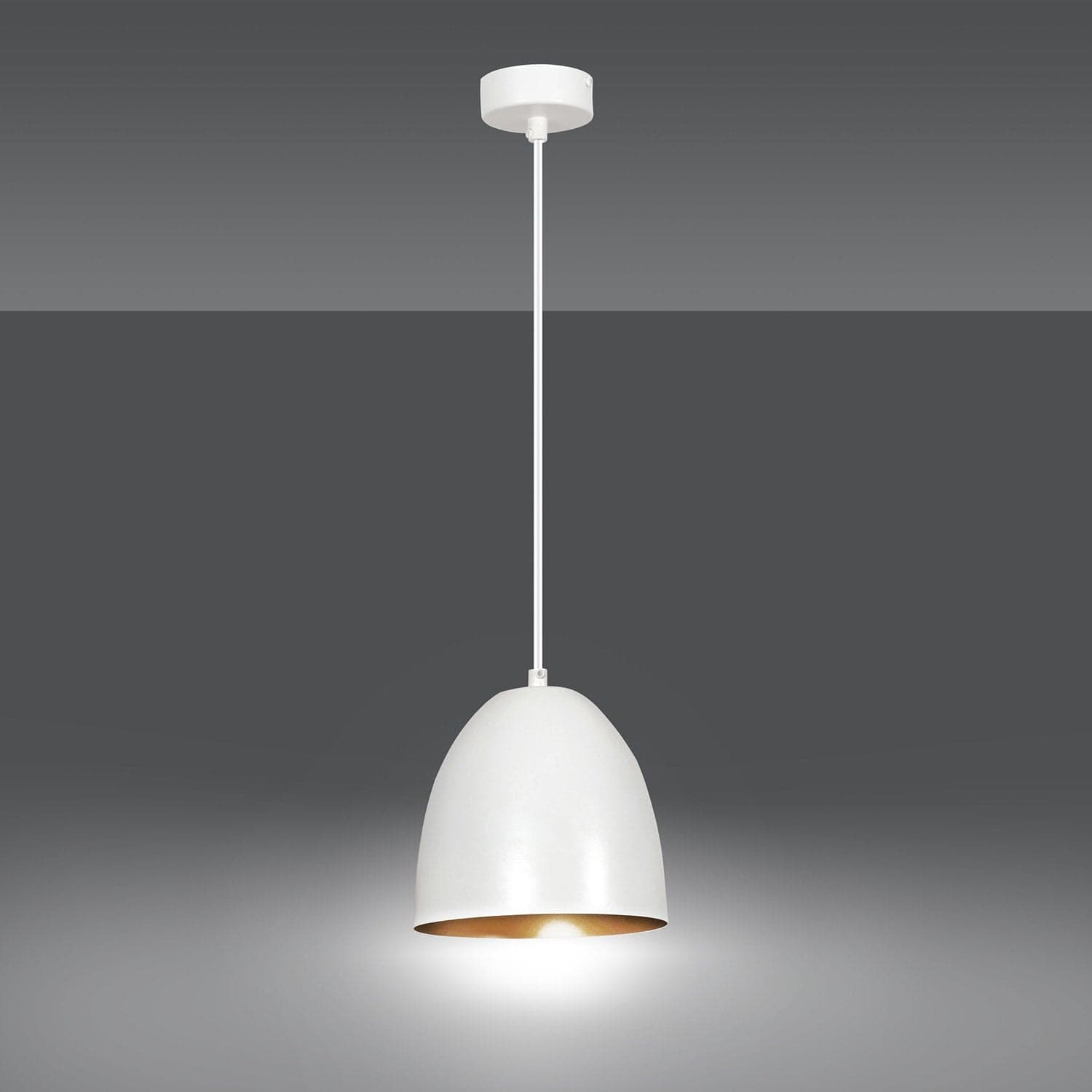 Sospensione 1 Luce Lenox In Acciaio Bianco A Cupola Nero E Oro in Lampade a sospensione LuceArt - Montecorvino Pugliano, commercioVirtuoso.it