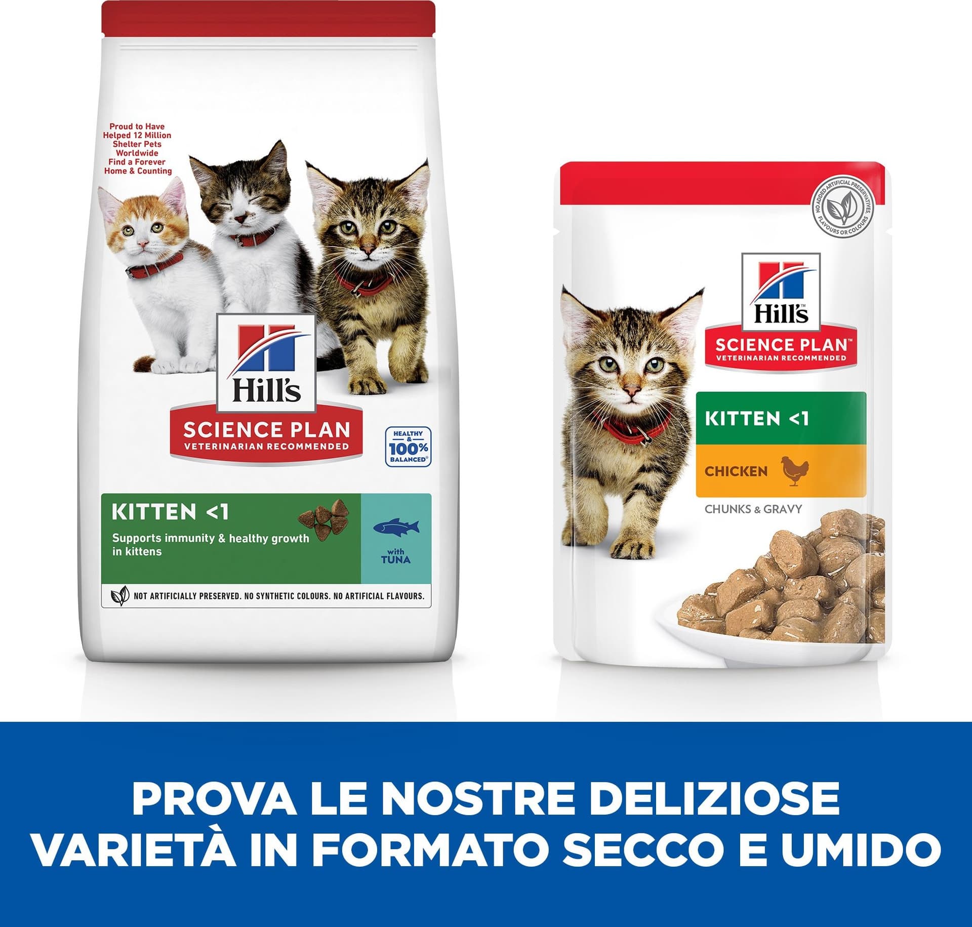 Hill's Mantenimento secco Gatti Kitten tonno in Secco 101 Market - Poggibonsi, commercioVirtuoso.it