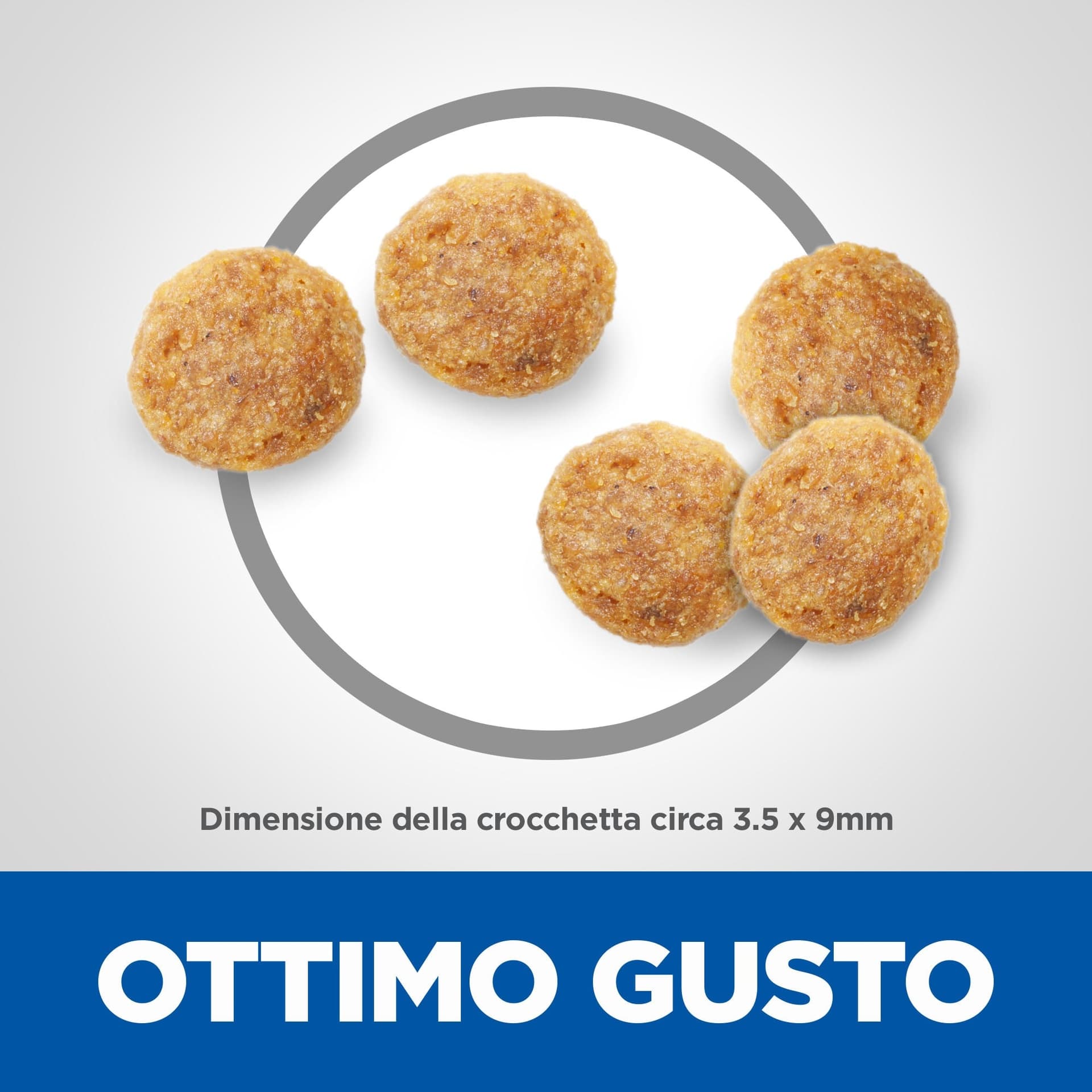 Hill's Mantenimento secco Gatti Mature pollo in Secco 101 Market - Poggibonsi, commercioVirtuoso.it