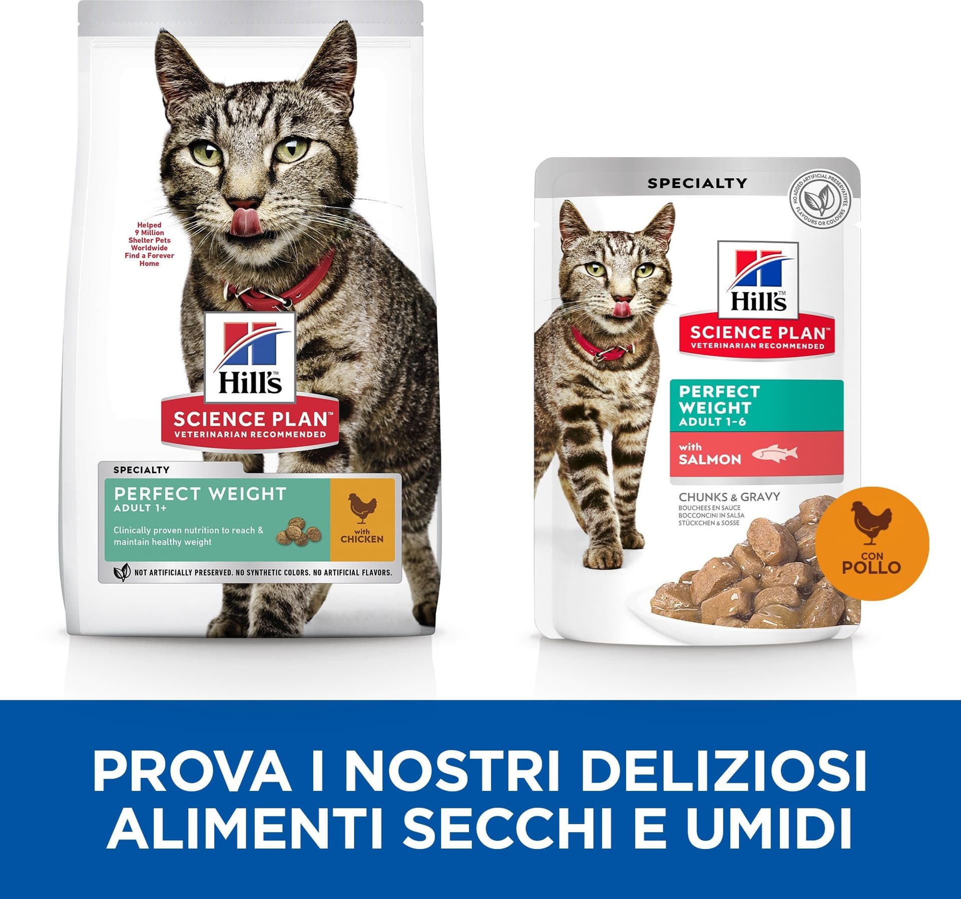 Hill's Perfect Weight secco Gatti Adulti pollo 1,5 kg in Secco 101 Market - Poggibonsi, commercioVirtuoso.it
