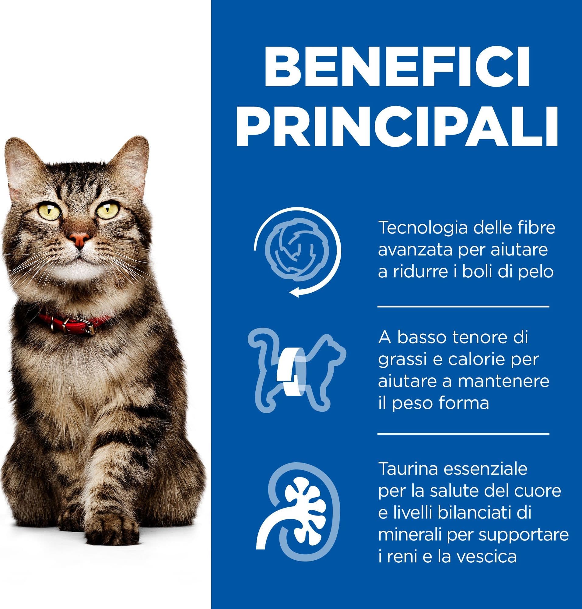 Hill's Hairball Indoor secco Gatti Mature pollo 1,5 kg in Secco 101 Market - Poggibonsi, commercioVirtuoso.it