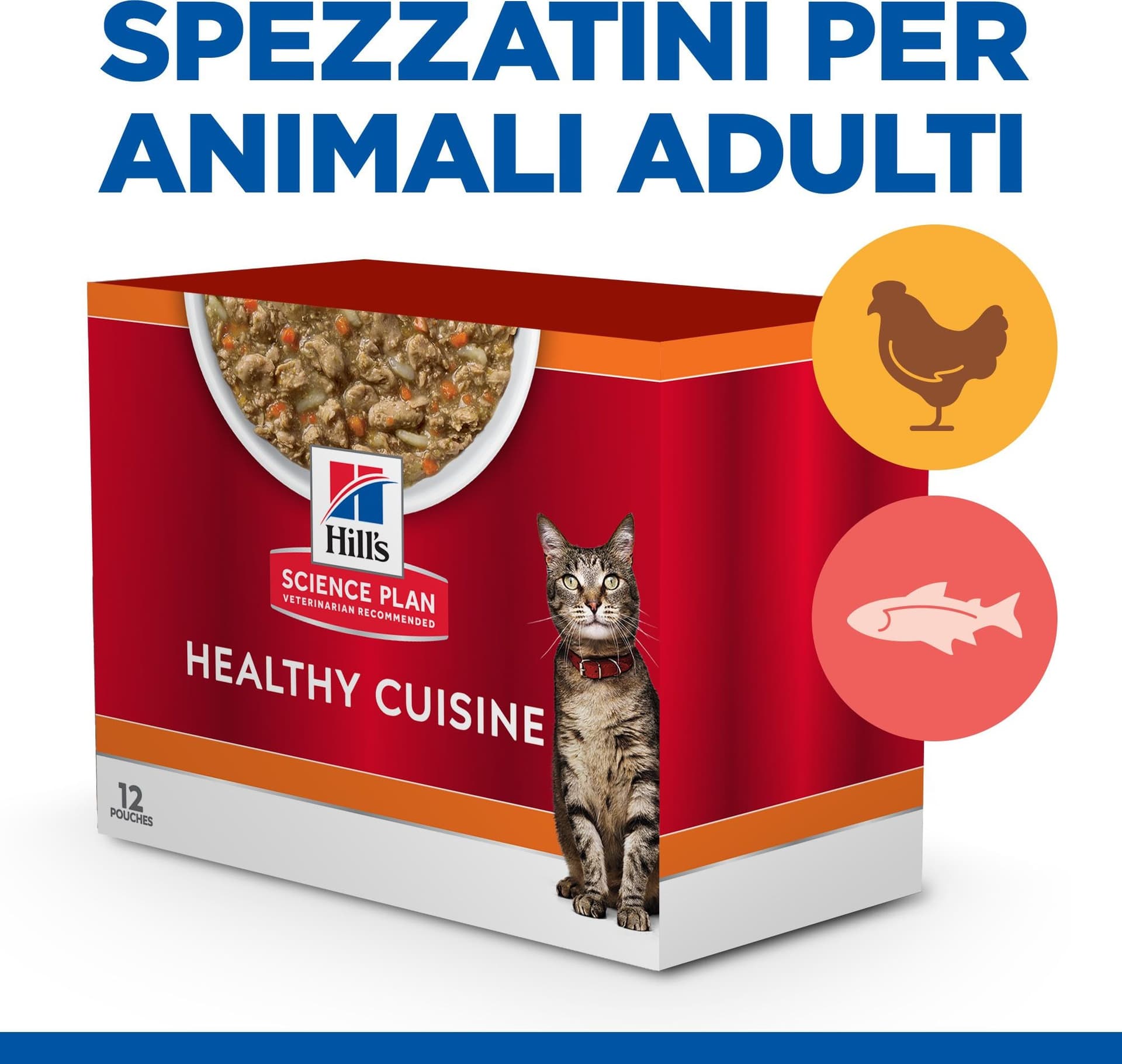 Hill's Healthy Cuisine spezzatino Gatti Adulti Multigusto 12x80 gr in Secco 101 Market - Poggibonsi, commercioVirtuoso.it