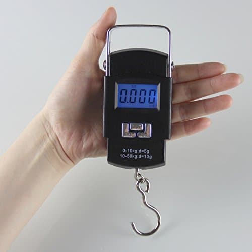 Bilancia digitale portatile per uso domestico con portata massima di kg 50 in Bilance La Zappa - Altamura, commercioVirtuoso.it