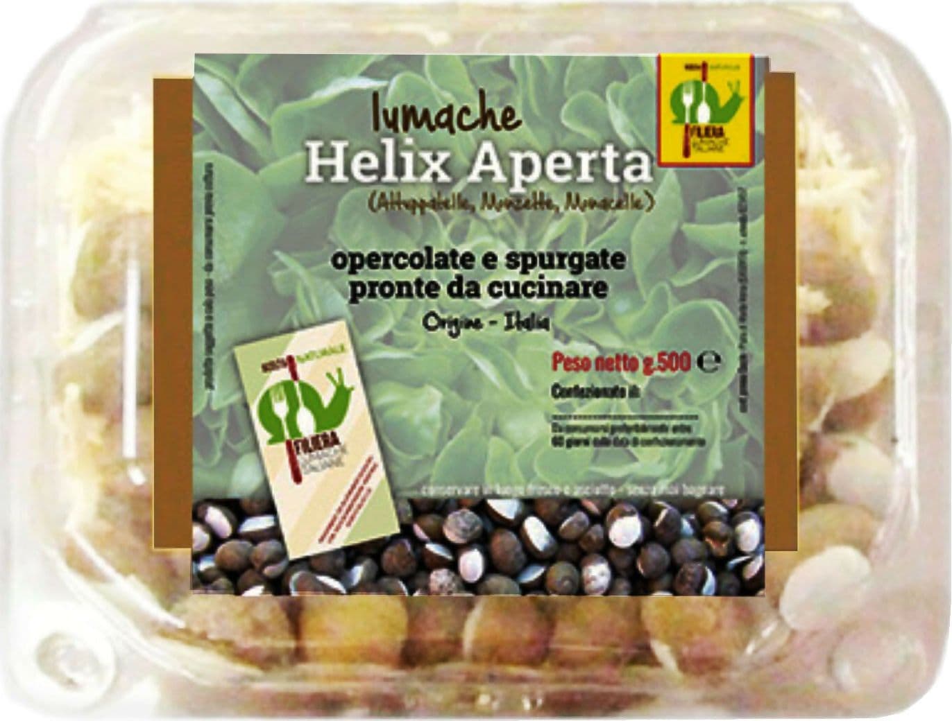 LUMACHE Monacella HELIX APERTA da Gastronomia Spurgate Pronte da Cucinare 100% Italiane + Ricettario Incluso