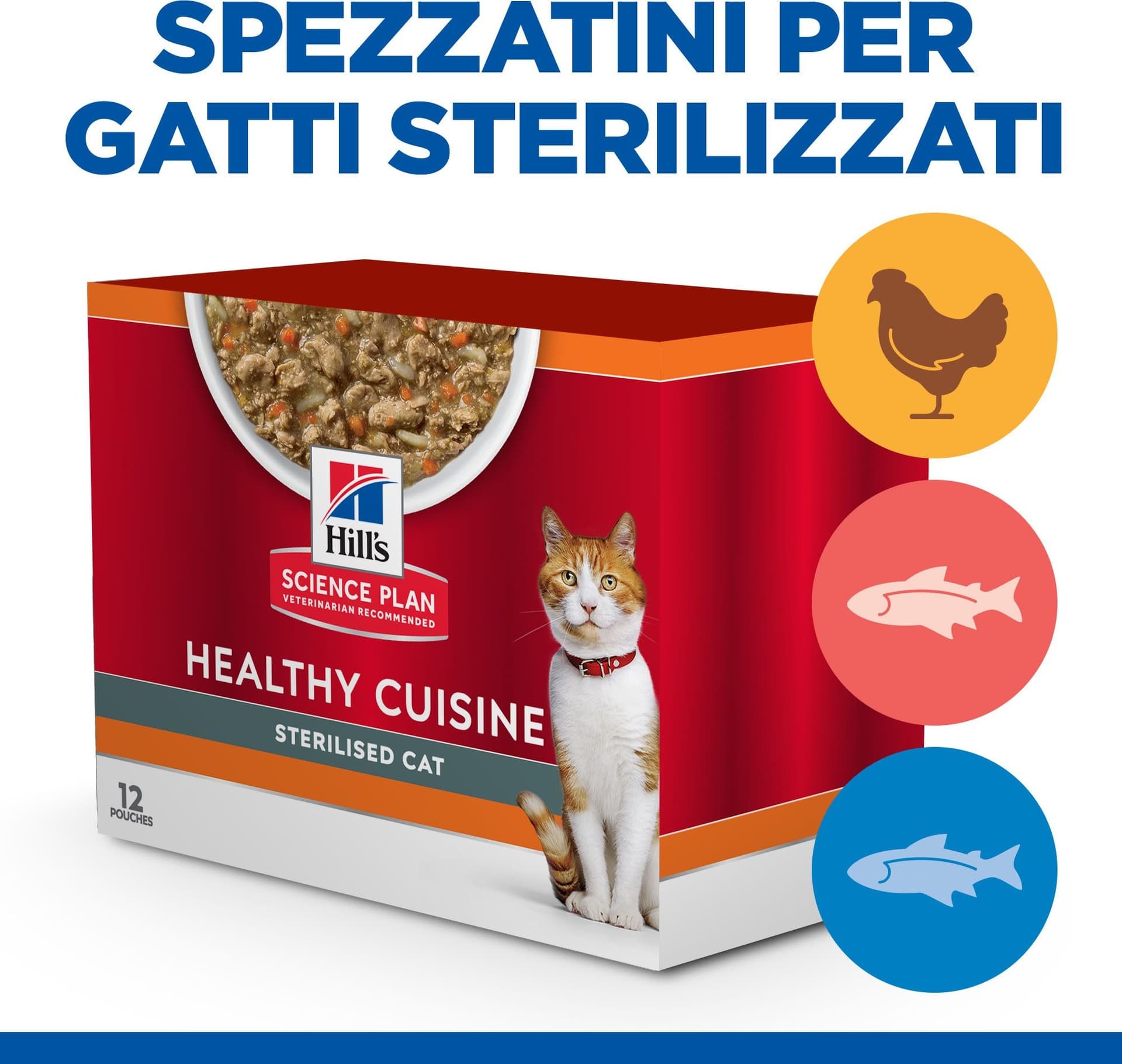 Hill's Healthy Cuisine Sterilised spezzatino Gatti Adulti Multigusto 12x80 gr in Secco 101 Market - Poggibonsi, commercioVirtuoso.it