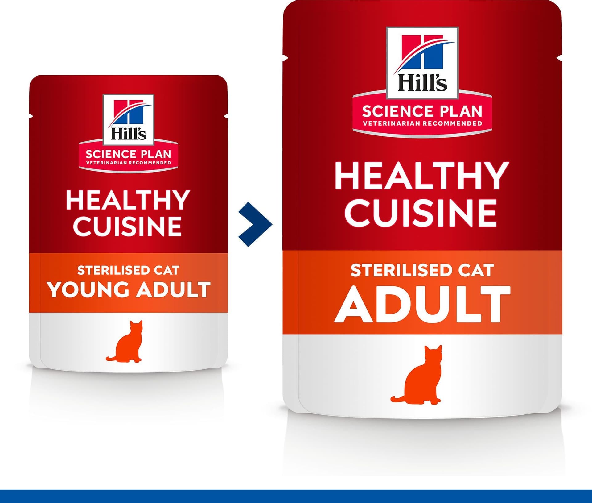 Hill's Healthy Cuisine Sterilised spezzatino Gatti Adulti Multigusto 12x80 gr in Secco 101 Market - Poggibonsi, commercioVirtuoso.it