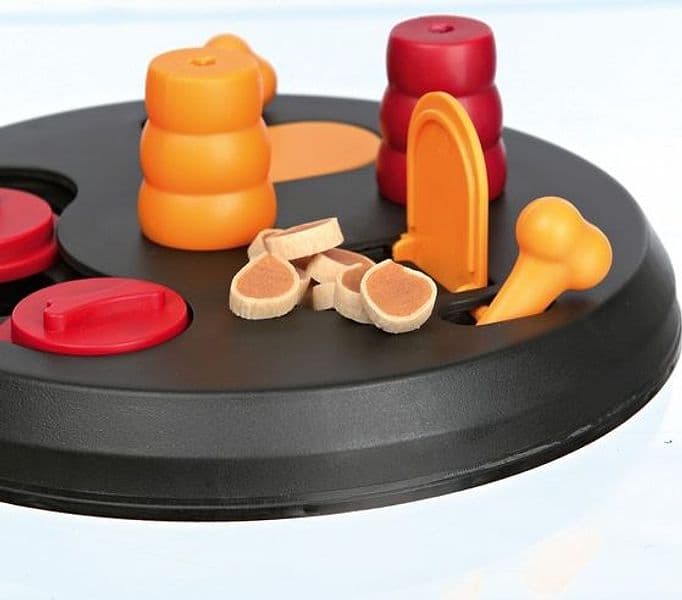 Dog Activity Flipper in Giochi interattivi 101 Market - Poggibonsi, commercioVirtuoso.it