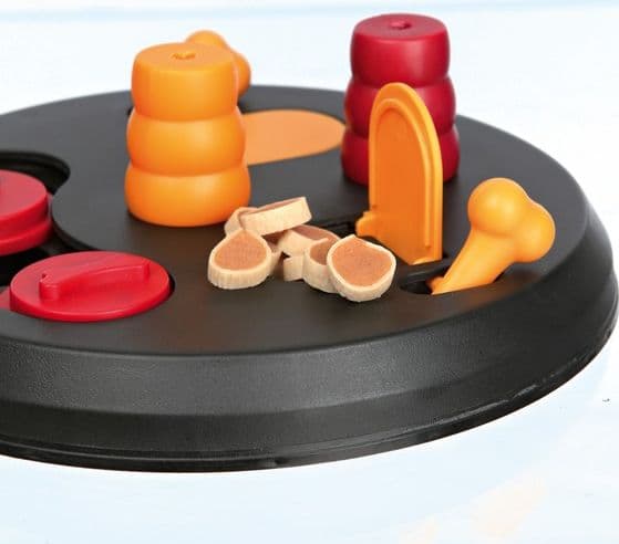 Dog Activity Flipper in Giochi interattivi 101 Market - Poggibonsi, commercioVirtuoso.it