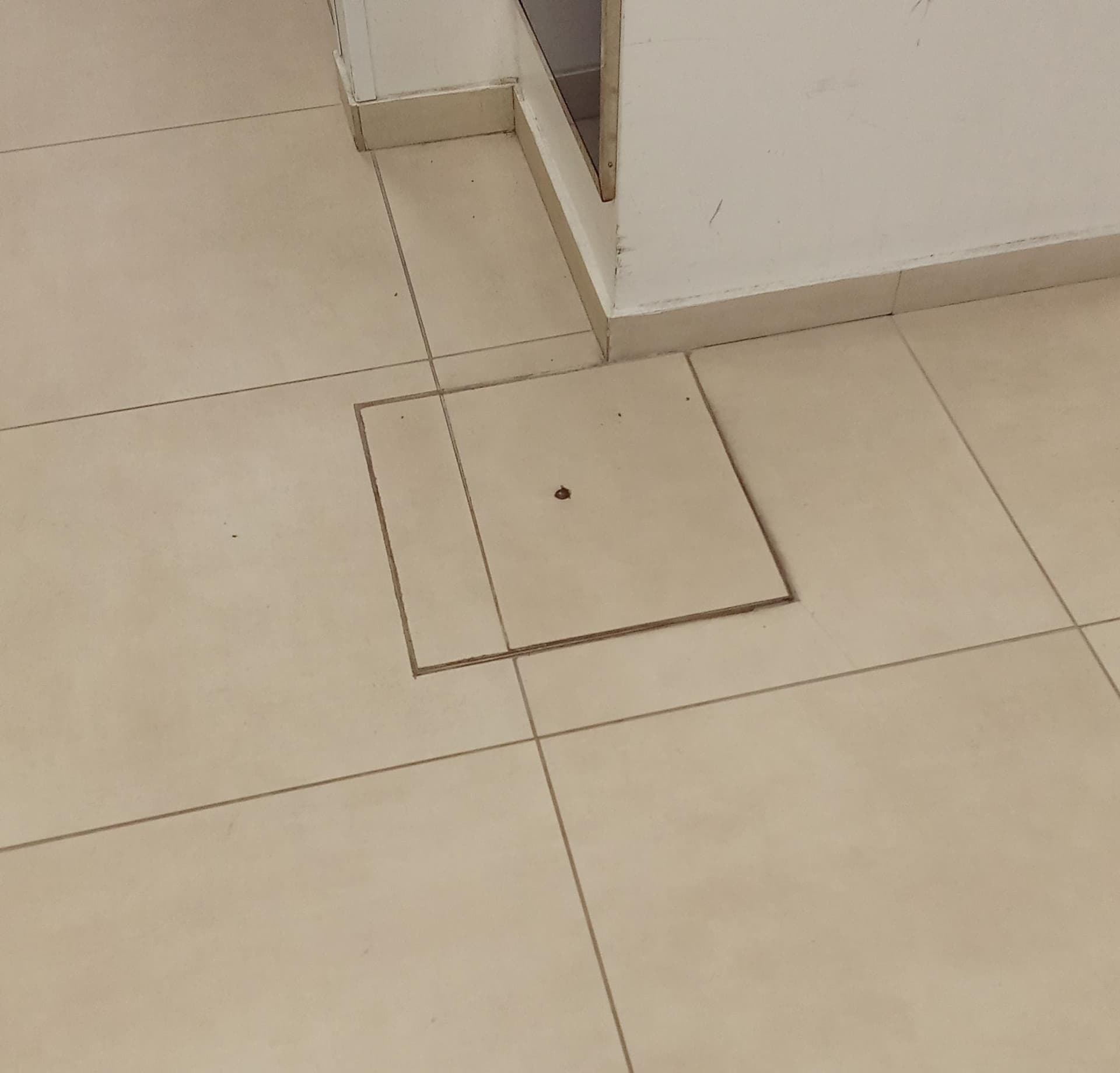 Sigillo 730 x 730 x H 80mm chiusino di acciaio inox leggero da riempimento in Placche per porte Aloiserw.com - Altomonte, commercioVirtuoso.it