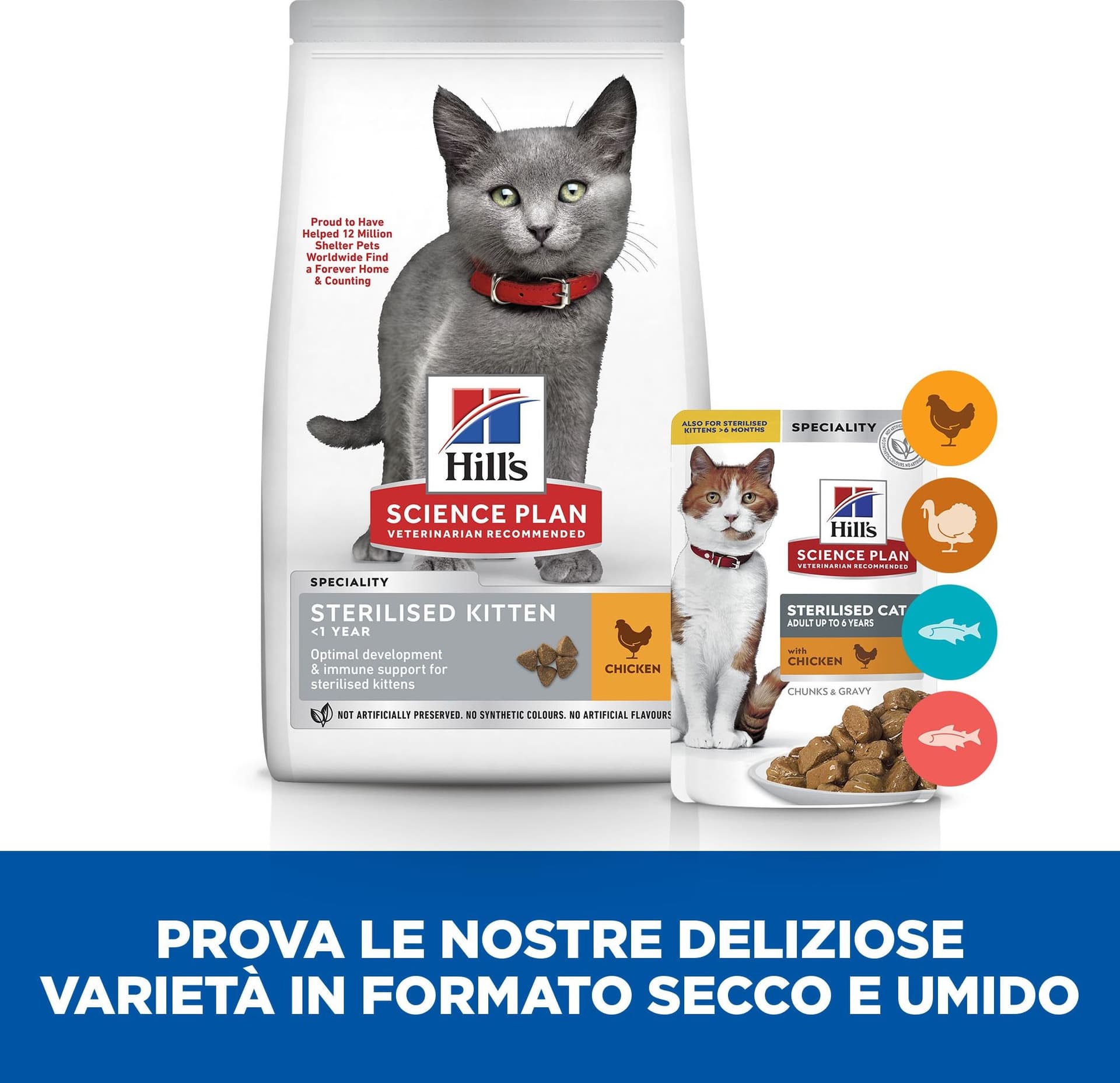 Hill's Sterilised secco Gatti Kitten pollo in Secco 101 Market - Poggibonsi, commercioVirtuoso.it