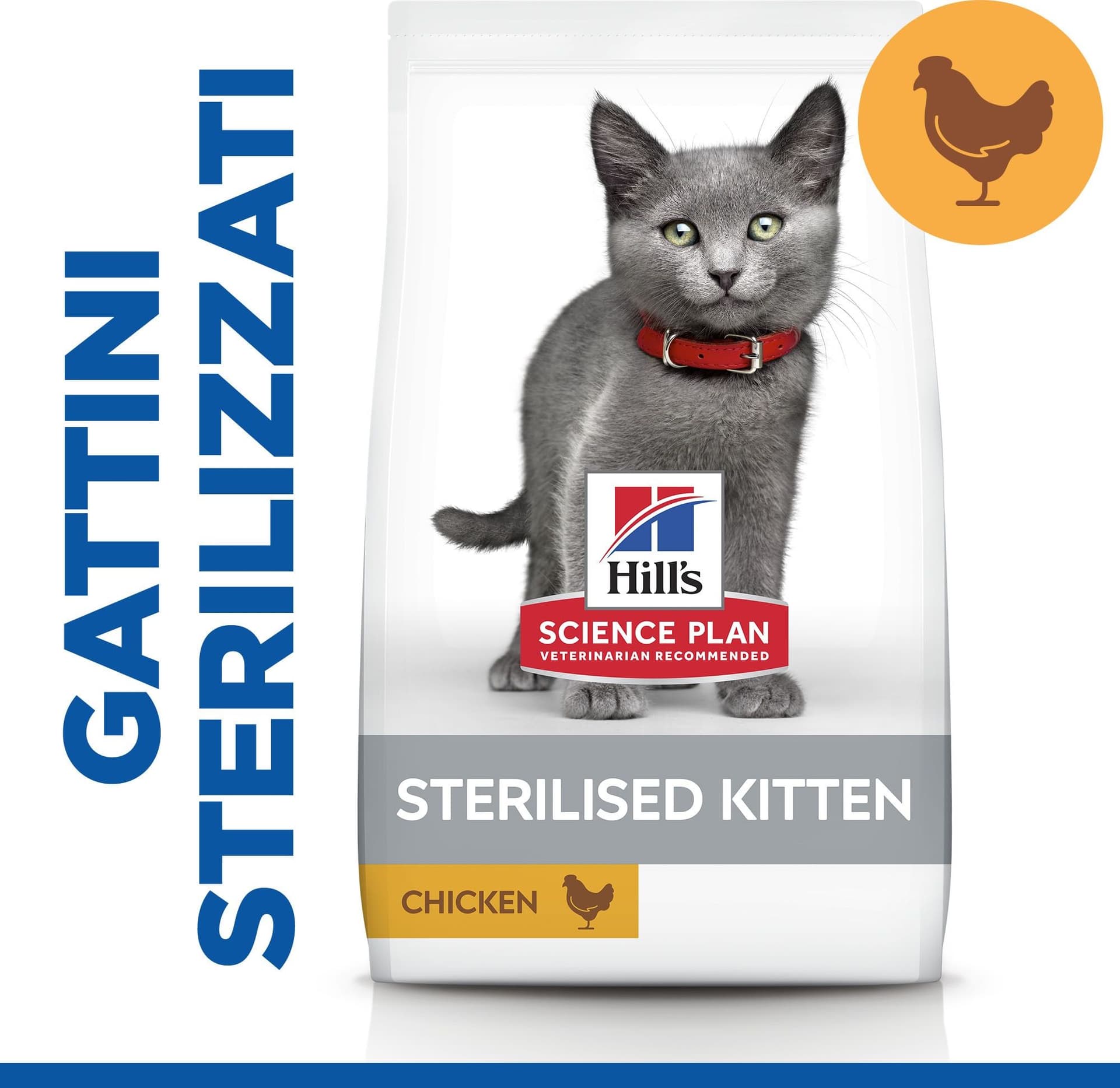 Hill's Sterilised secco Gatti Kitten pollo in Secco 101 Market - Poggibonsi, commercioVirtuoso.it