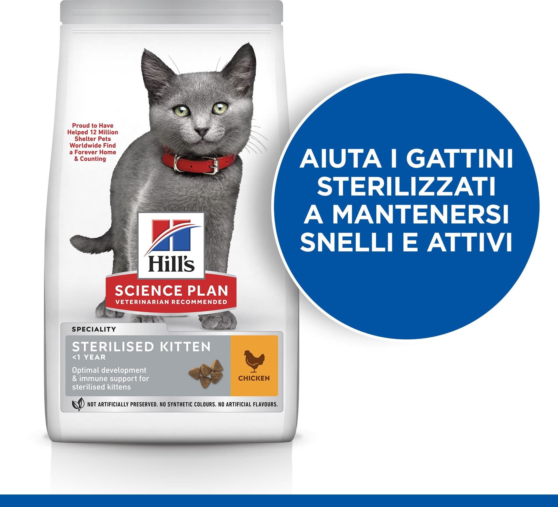 Hill's Sterilised secco Gatti Kitten pollo in Secco 101 Market - Poggibonsi, commercioVirtuoso.it