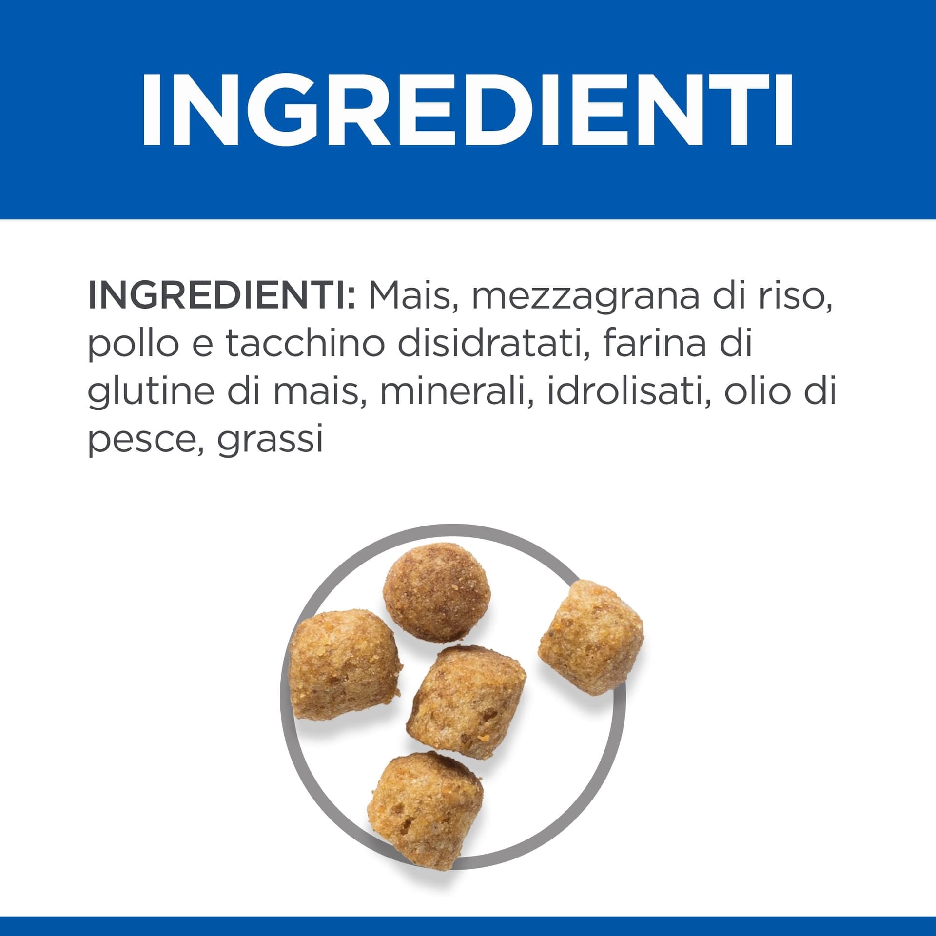 Hill's Sterilised secco Gatti Mature pollo in Secco 101 Market - Poggibonsi, commercioVirtuoso.it