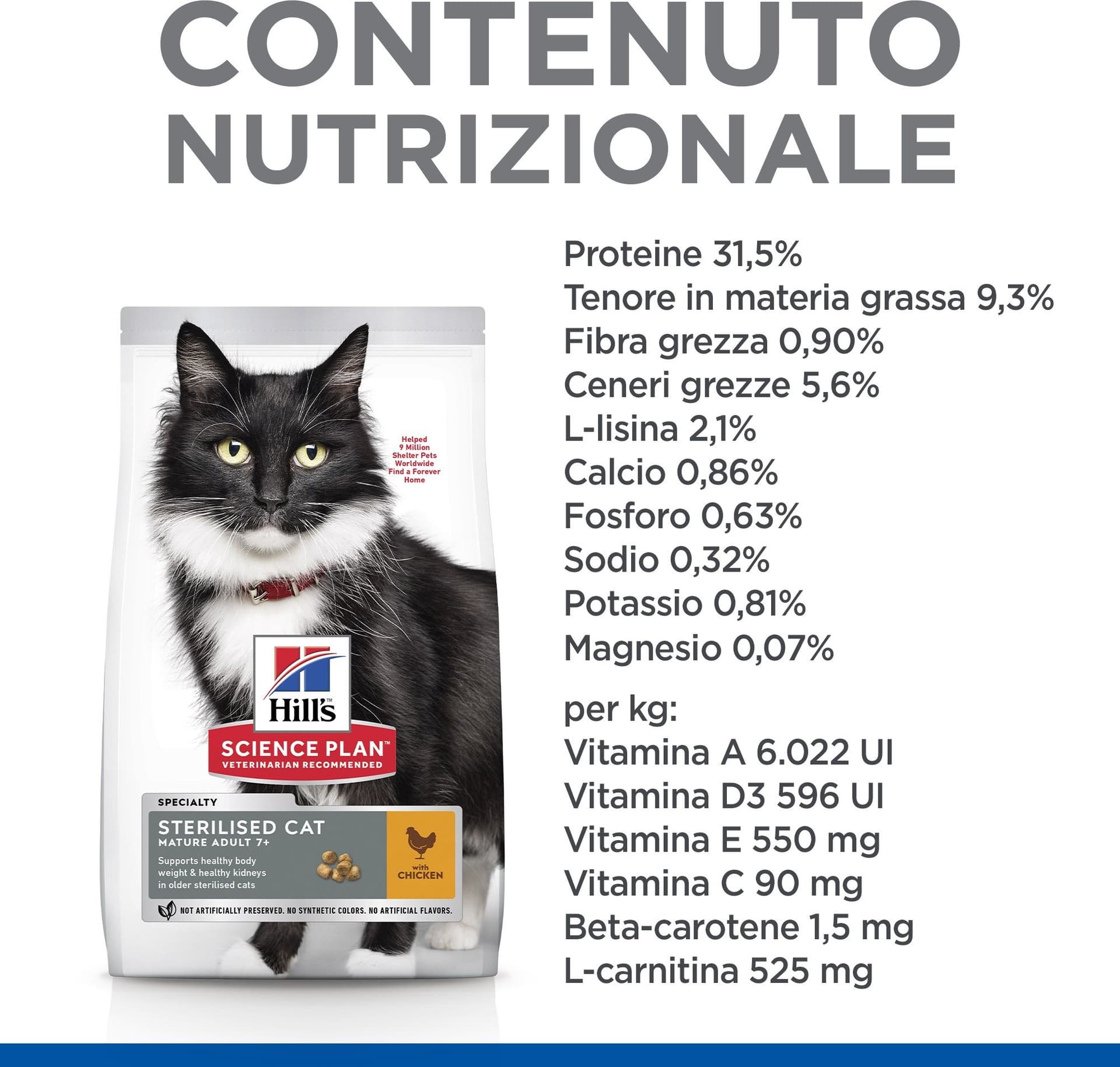 Hill's Sterilised secco Gatti Mature pollo in Secco 101 Market - Poggibonsi, commercioVirtuoso.it