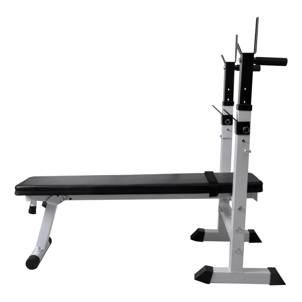 Panca per Pesi e Massa Muscolare Fitness in Acciaio 120x50x91-111cm Regolabile in Panche regolabili Esplodia - Napoli, commercioVirtuoso.it