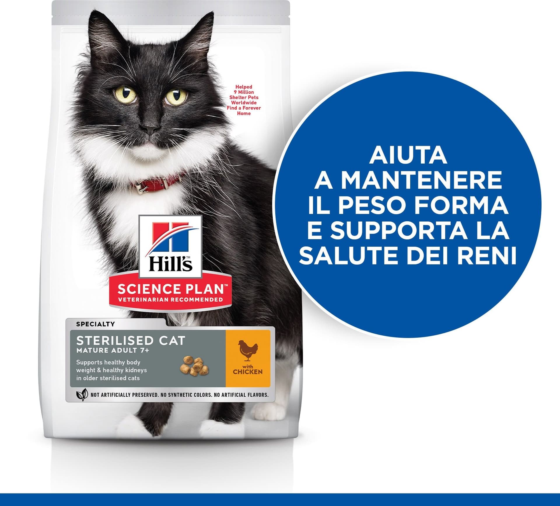 Hill's Sterilised secco Gatti Mature pollo in Secco 101 Market - Poggibonsi, commercioVirtuoso.it