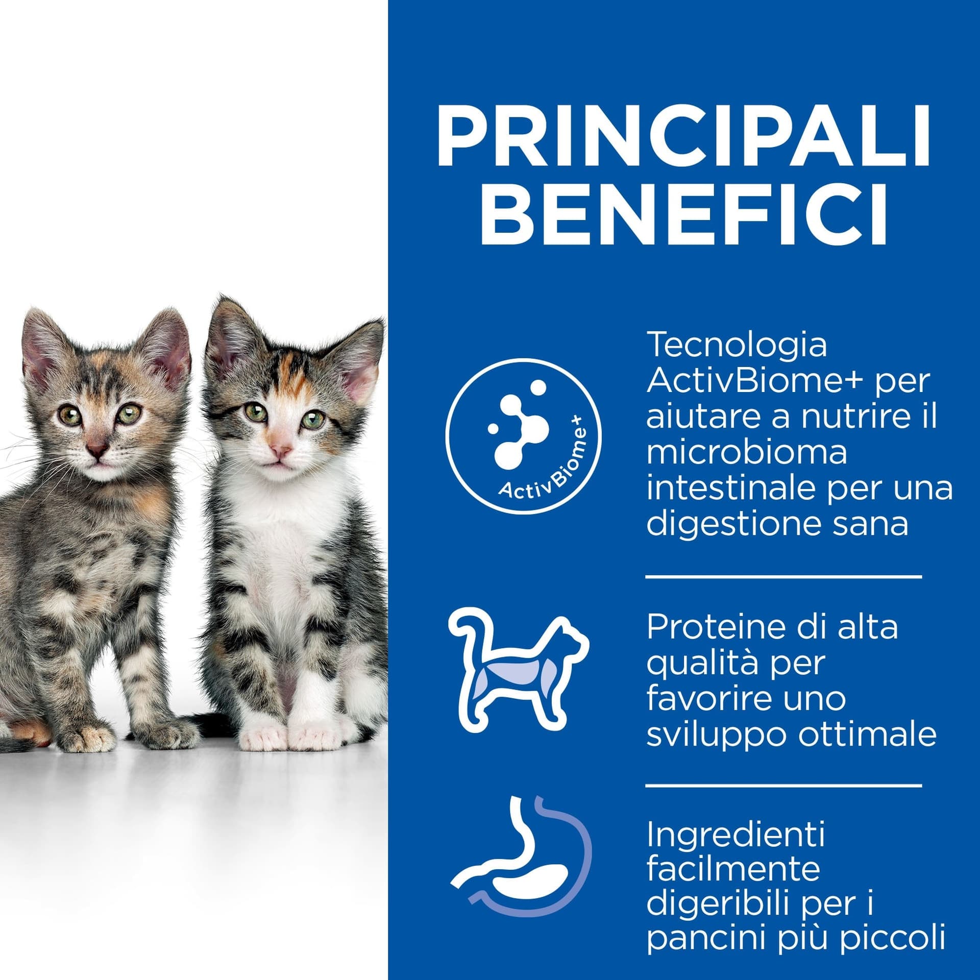Hill's Perfect Digestion secco Gatti Kitten pollo in Secco 101 Market - Poggibonsi, commercioVirtuoso.it