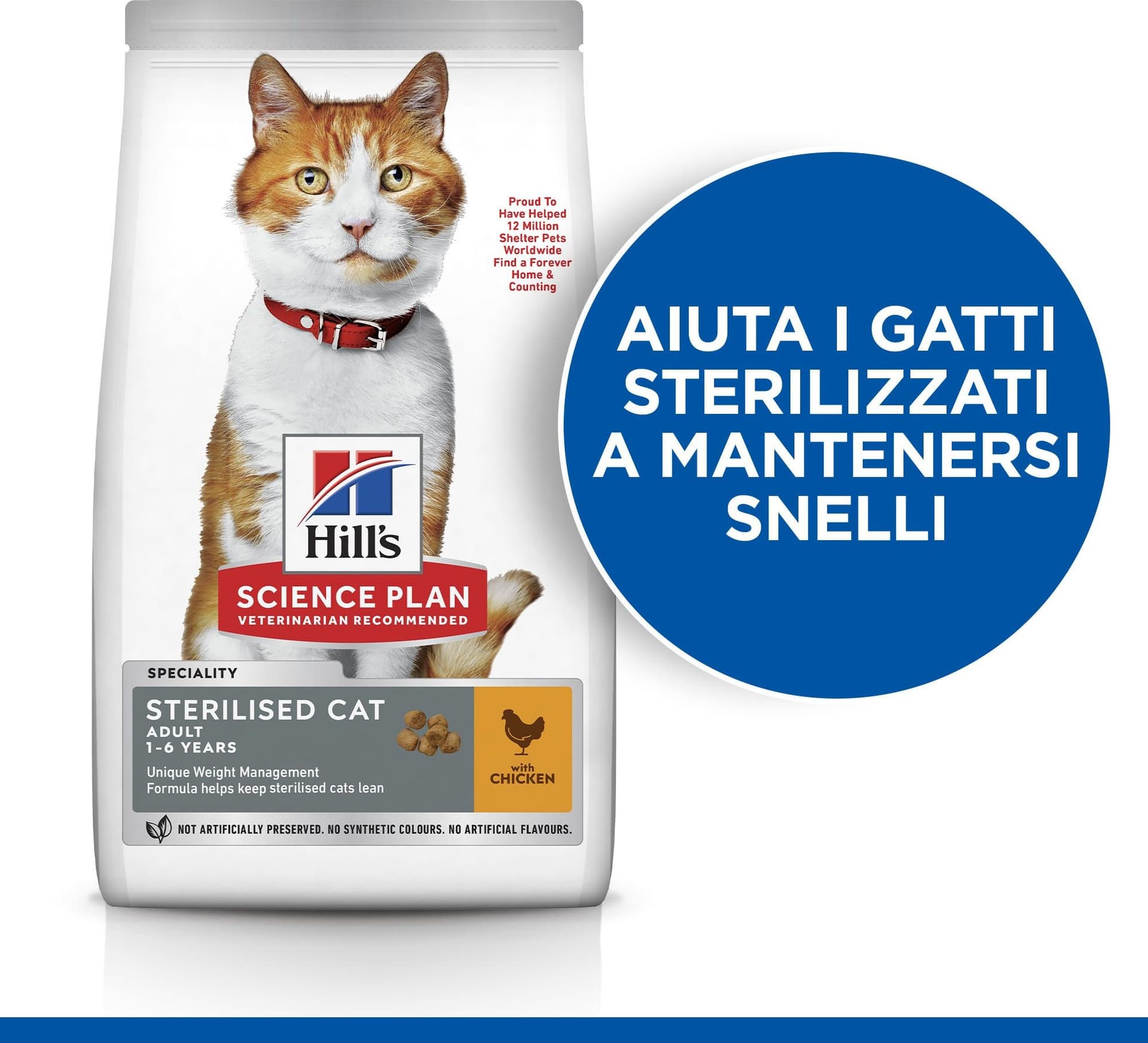 Hill's Sterilised secco Gatti Adulti pollo in Secco 101 Market - Poggibonsi, commercioVirtuoso.it