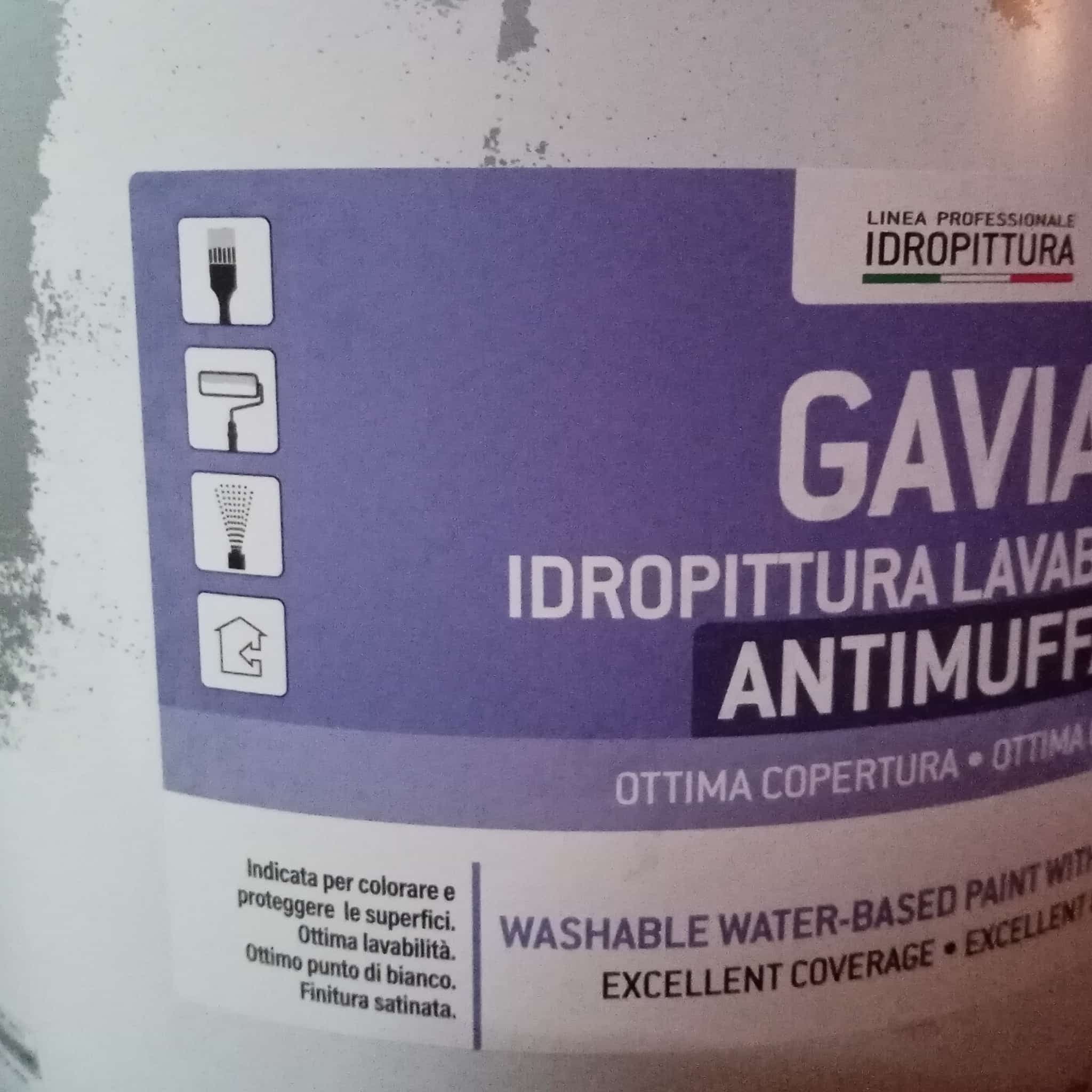 Tixe Gavia 14lt idro pittura acrilica bianca opaca lavabile per interni in Pittura per pareti Aloiserw.com - Altomonte, commercioVirtuoso.it