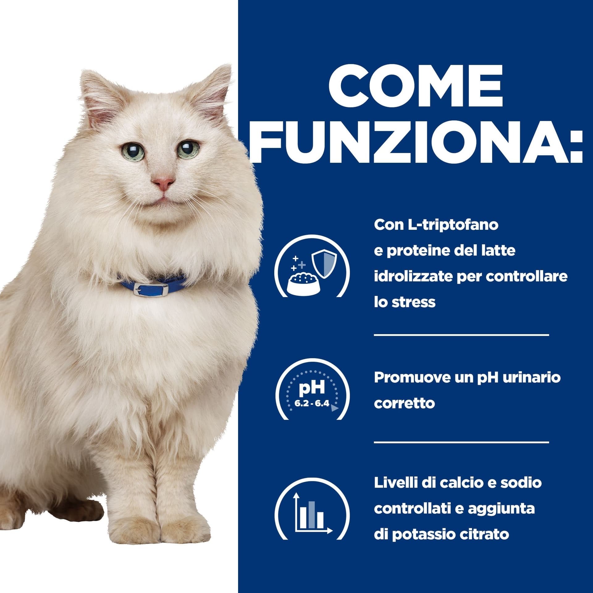 Hill's Prescription Diet Multicare Stress secco Gatti Adulti pesce oceanico in Secco 101 Market - Poggibonsi, commercioVirtuoso.it
