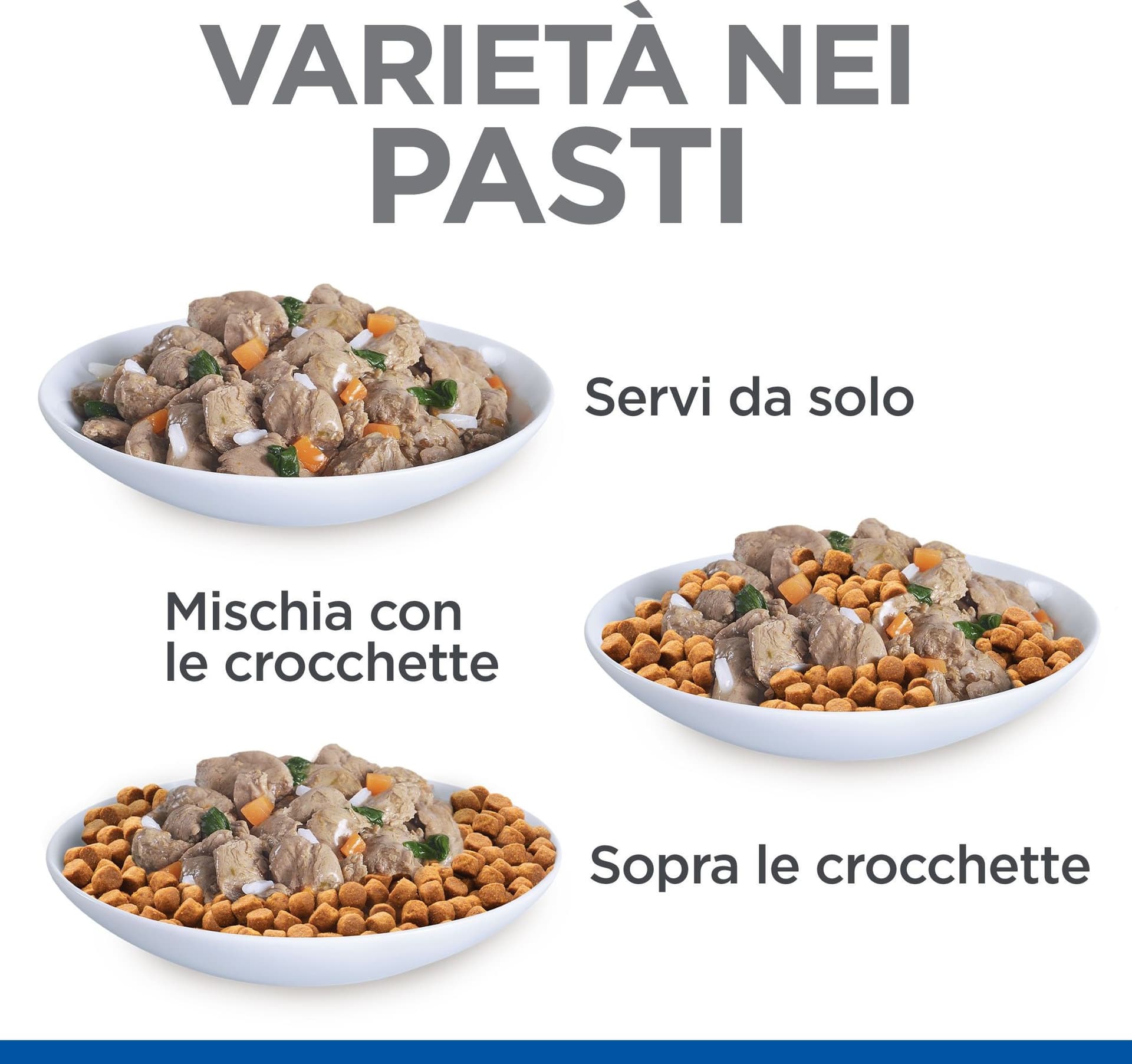 Hill's Healthy Cuisine spezzatino Gatti Kitten pollo e verdure 80 gr in Secco 101 Market - Poggibonsi, commercioVirtuoso.it