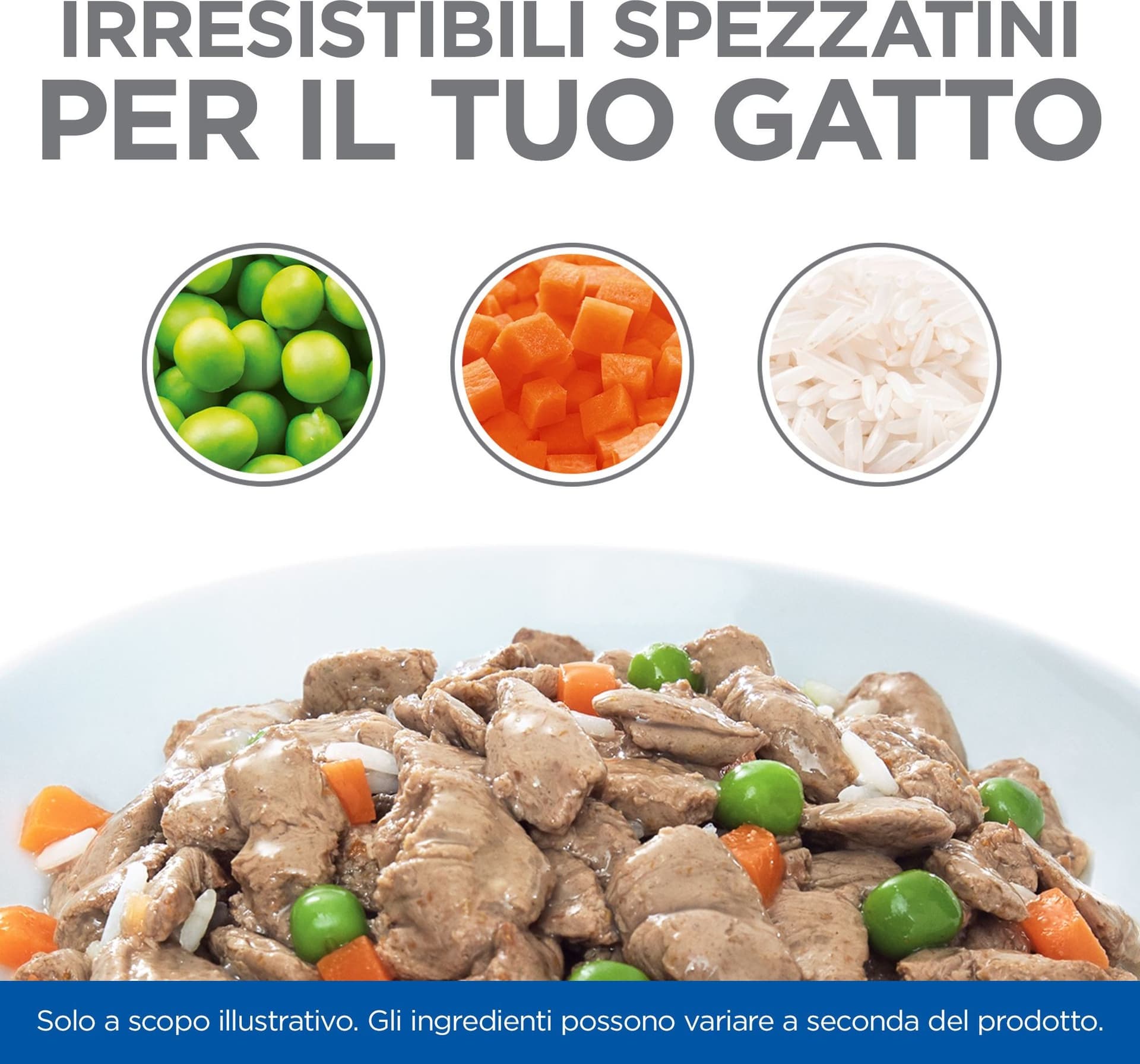 Hill's Healthy Cuisine Sterilised spezzatino Gatti Adulti pollo e verdure 80 gr in Secco 101 Market - Poggibonsi, commercioVirtuoso.it