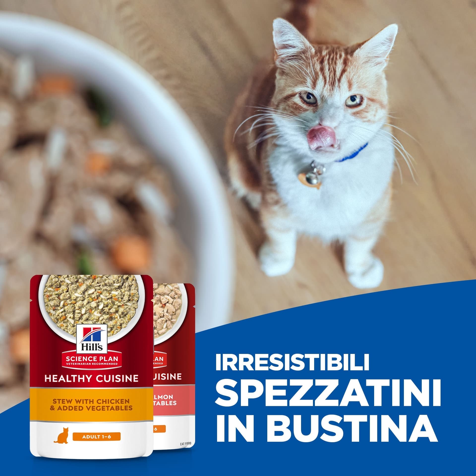 Hill's Healthy Cuisine Sterilised spezzatino Gatti Adulti pollo e verdure 80 gr in Secco 101 Market - Poggibonsi, commercioVirtuoso.it