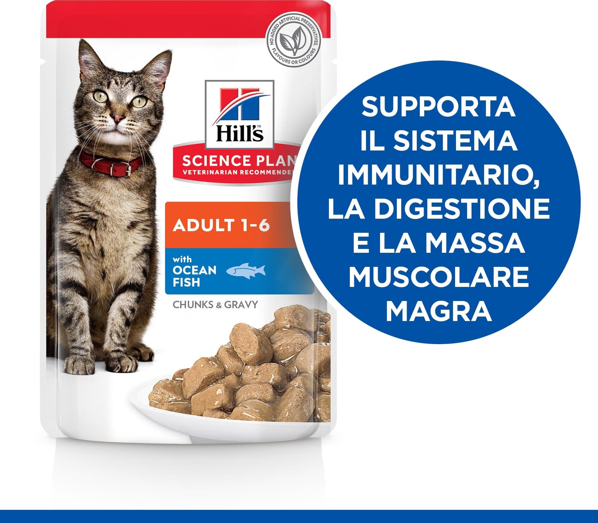 Hill's Mantenimento umido Gatti Adulti pesce oceanico 85 gr in Secco 101 Market - Poggibonsi, commercioVirtuoso.it