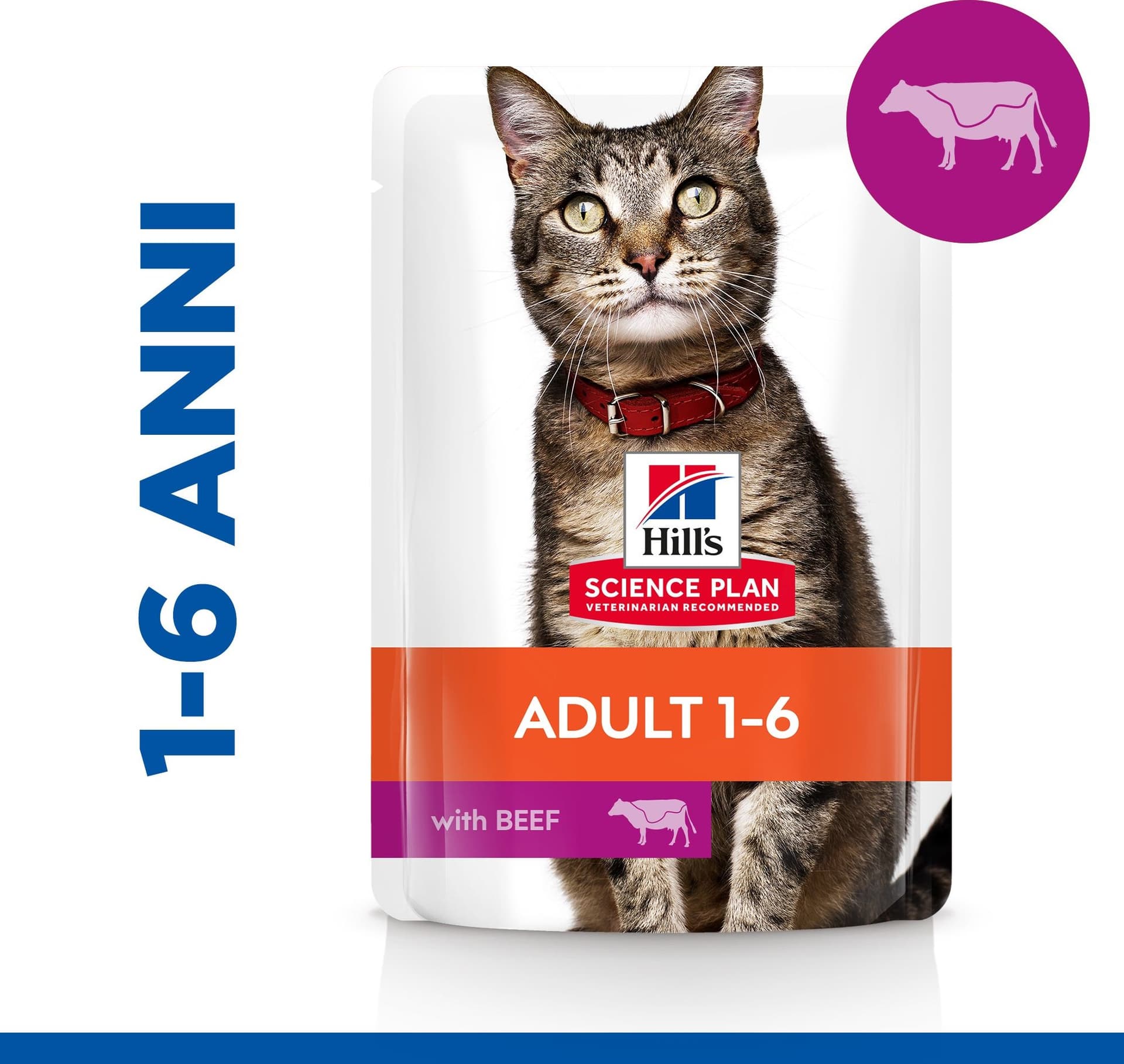 Hill's Mantenimento umido Gatti Adulti manzo 85 gr in Secco 101 Market - Poggibonsi, commercioVirtuoso.it