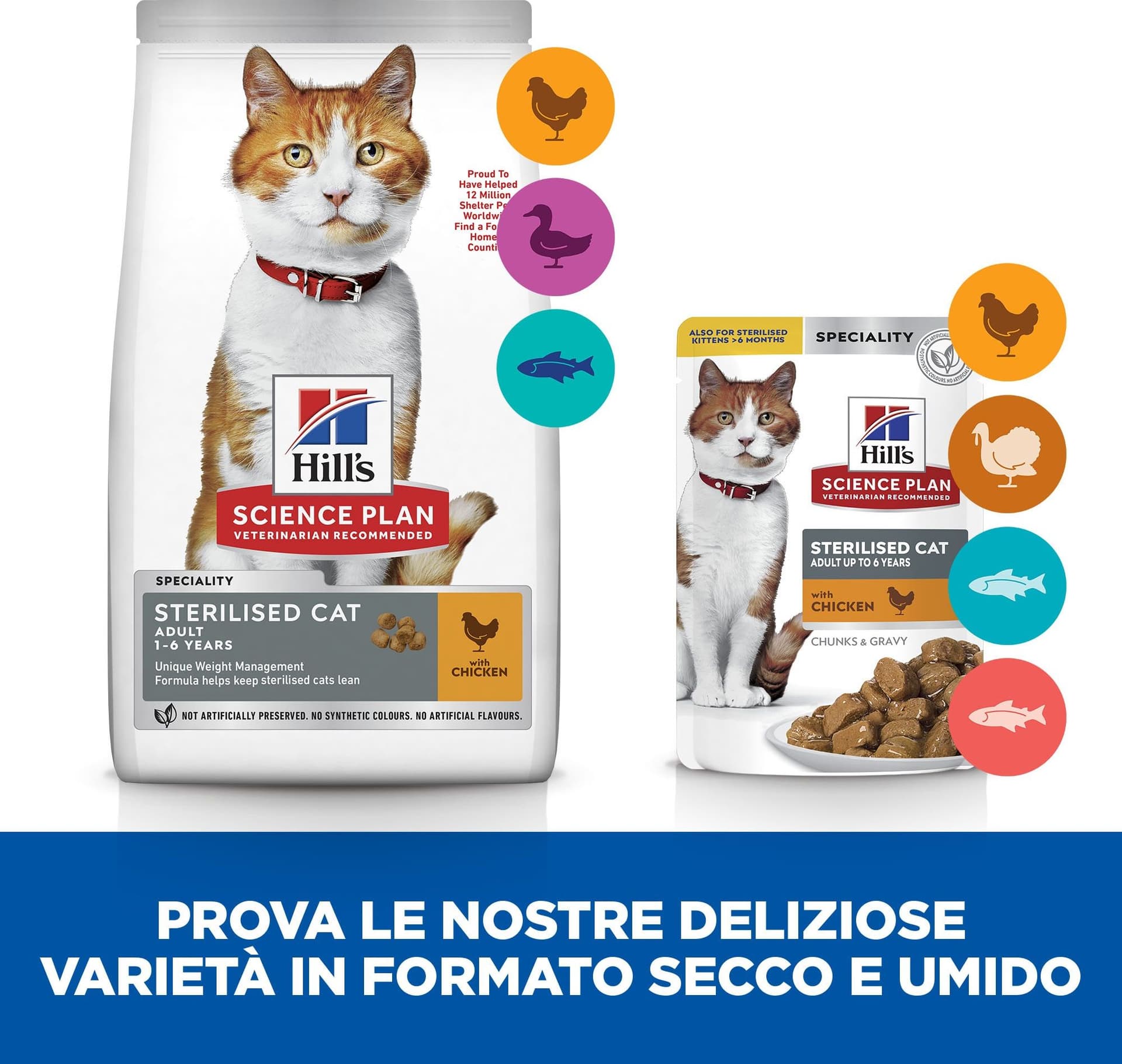 Hill's Sterilised umido Gatti Adulti tacchino 85 gr in Umido 101 Market - Poggibonsi, commercioVirtuoso.it