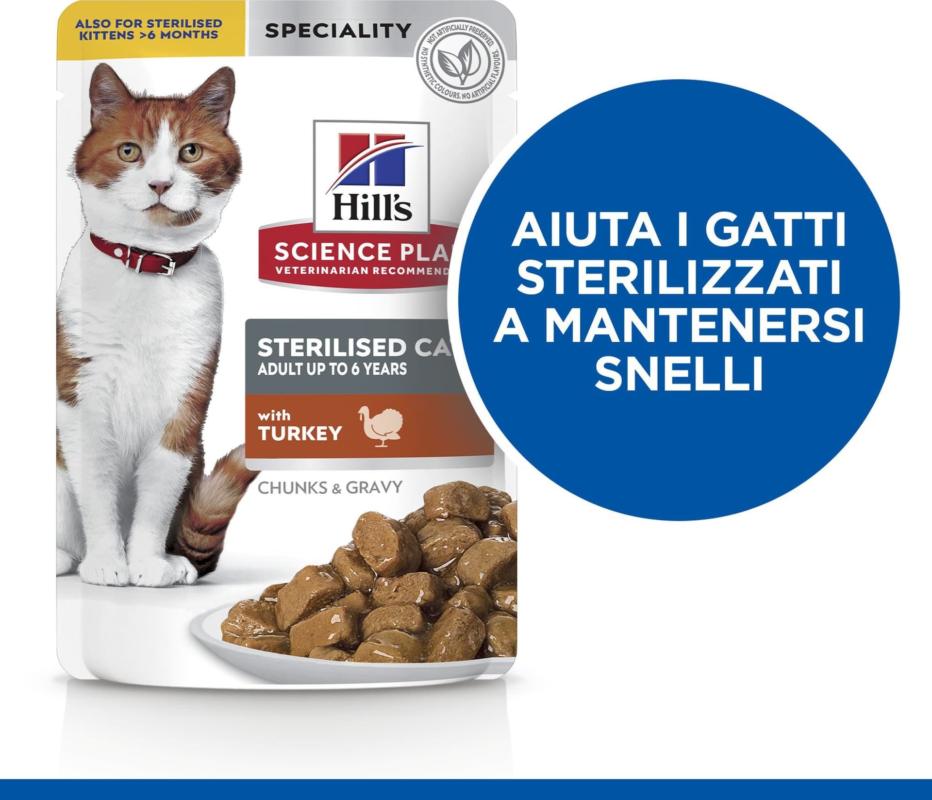 Hill's Sterilised umido Gatti Adulti tacchino 85 gr in Umido 101 Market - Poggibonsi, commercioVirtuoso.it