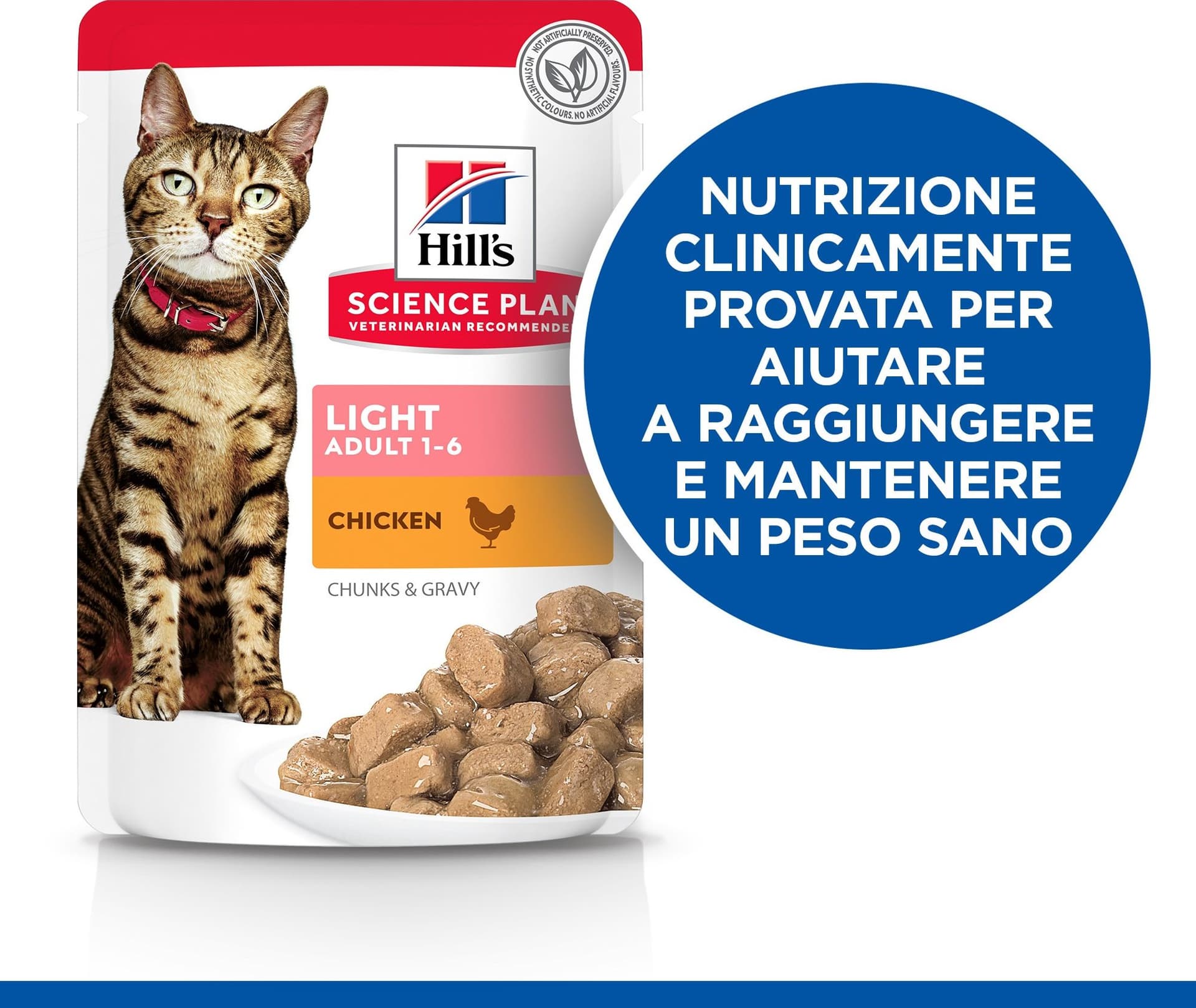 Hill's Light umido Gatti Adulti pollo 85 gr in Secco 101 Market - Poggibonsi, commercioVirtuoso.it