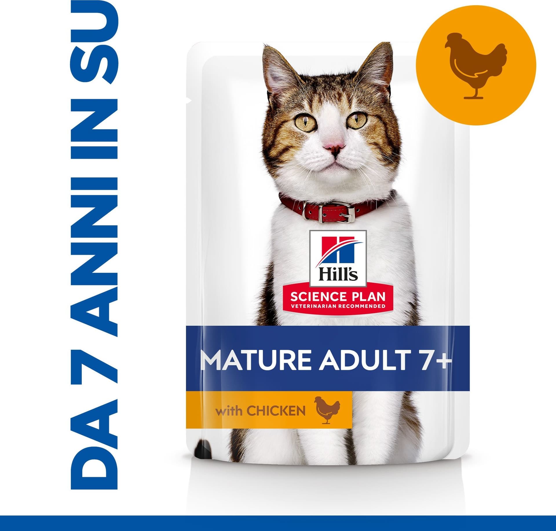 Hill's Mantenimento umido Gatti Mature pollo 85 gr in Secco 101 Market - Poggibonsi, commercioVirtuoso.it