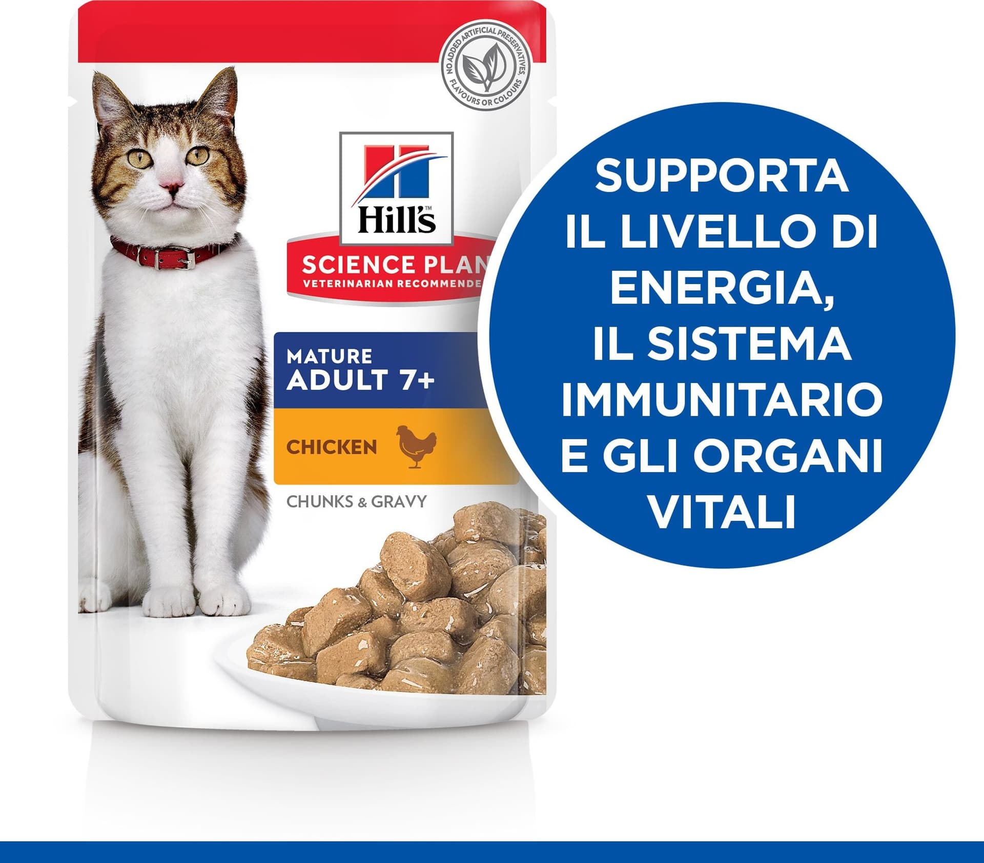 Hill's Mantenimento umido Gatti Mature pollo 85 gr in Secco 101 Market - Poggibonsi, commercioVirtuoso.it