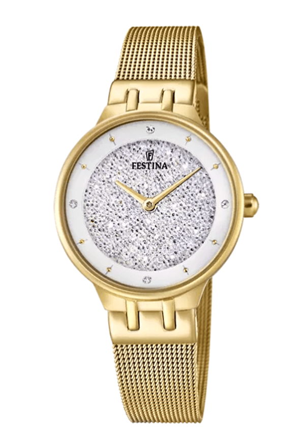 FESTINA - Orologio Cassa In Acciaio Inossidabile