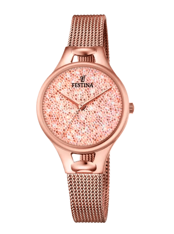 FESTINA -Orologio Cassa In Acciaio Inossidabile