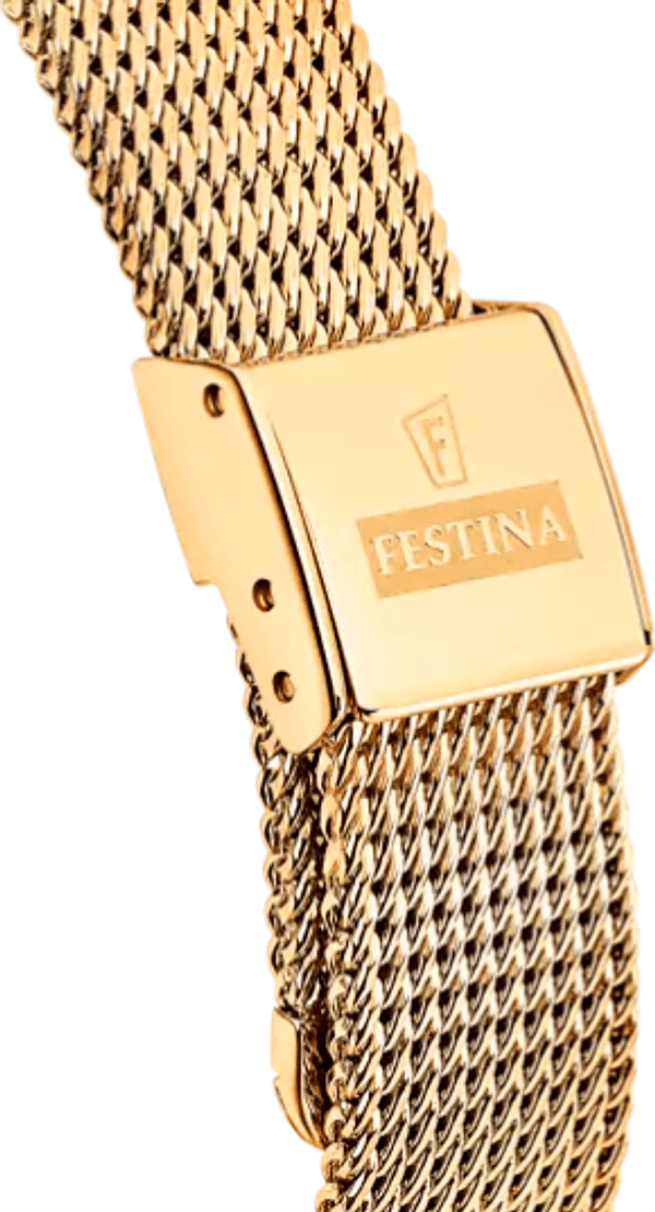 FESTINA - Orologio Cassa In Acciaio Inossidabile in Orologi da polso Alba Gioielli - Casoria, commercioVirtuoso.it