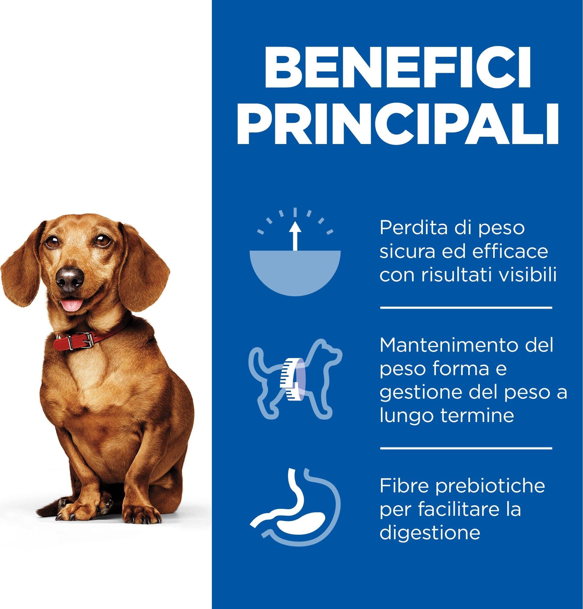 Hill's Perfect Weight secco Cane Adulto Mini pollo 1,5 kg in Secco 101 Market - Poggibonsi, commercioVirtuoso.it