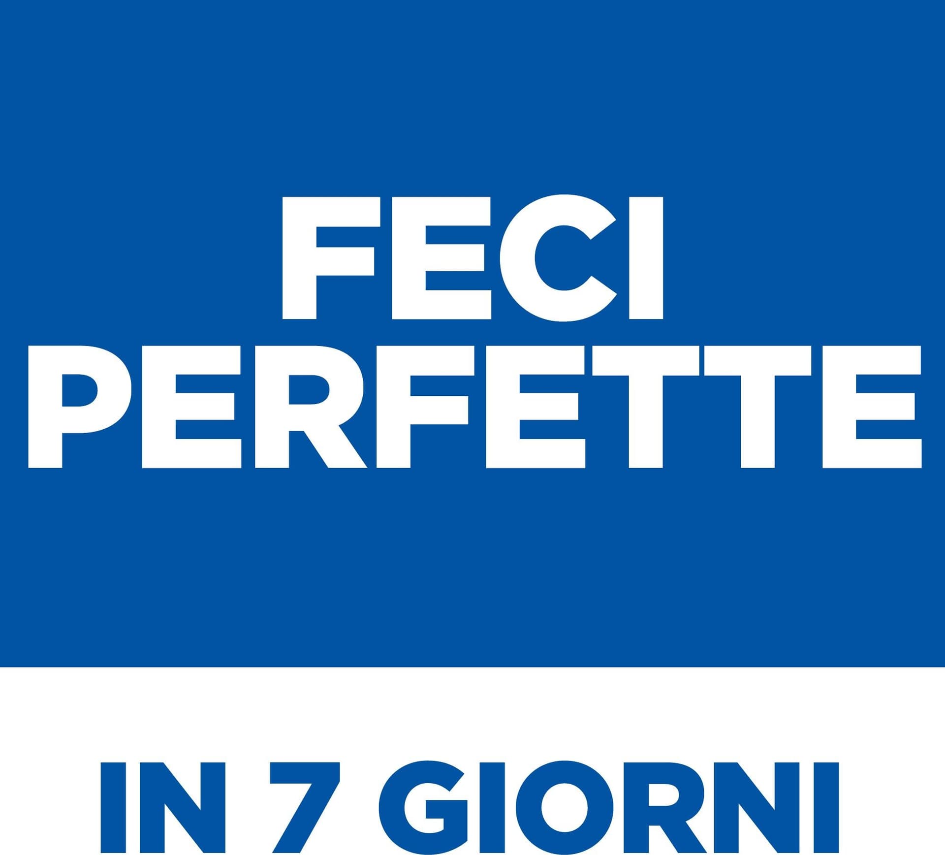 Hill's Perfect Digestion secco Cani Adulti Mini pollo 1,5 kg in Secco 101 Market - Poggibonsi, commercioVirtuoso.it