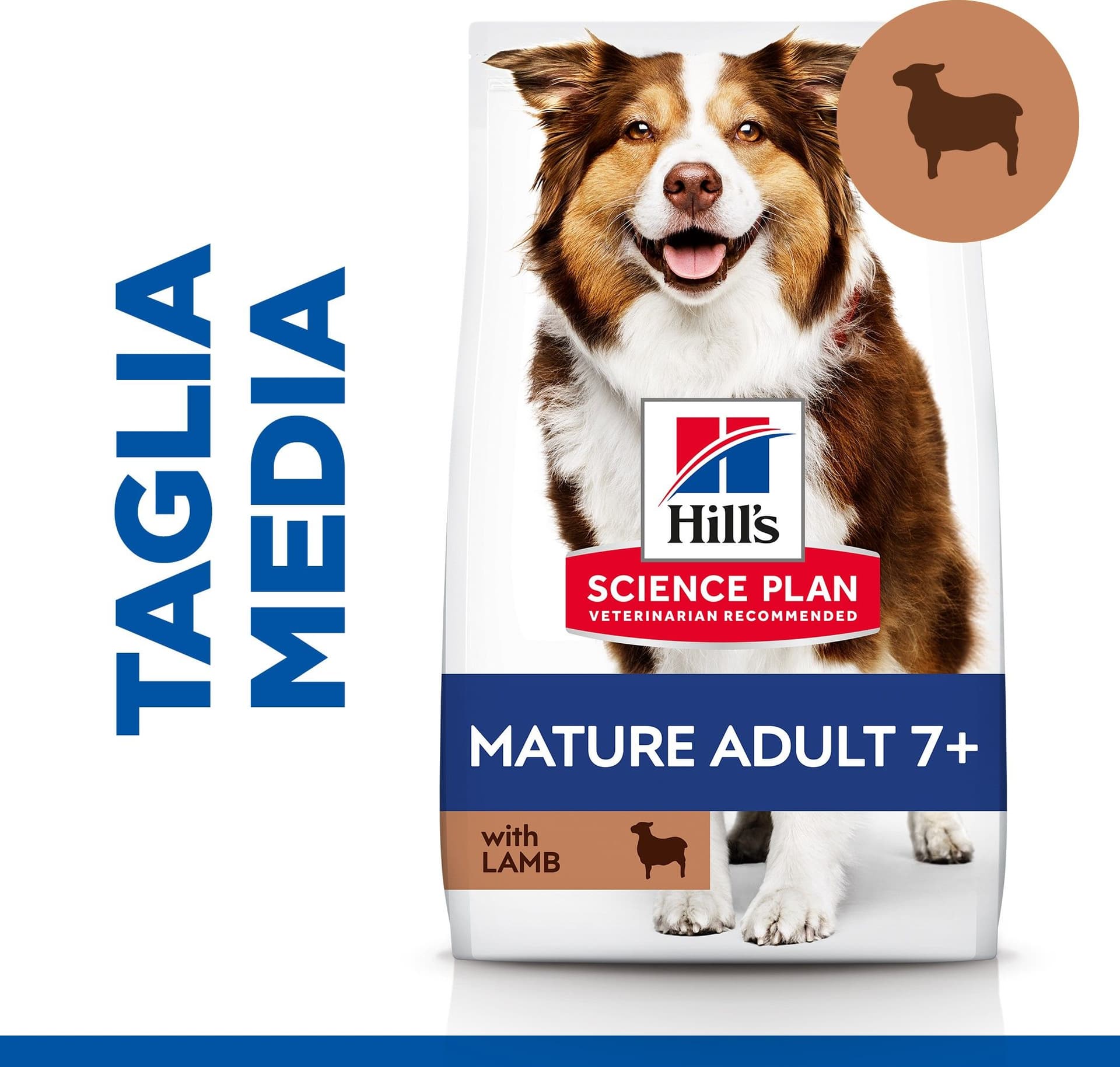 Hill's Mantenimento secco Cani Mature Medium agnello e riso 12 kg in Secco 101 Market - Poggibonsi, commercioVirtuoso.it