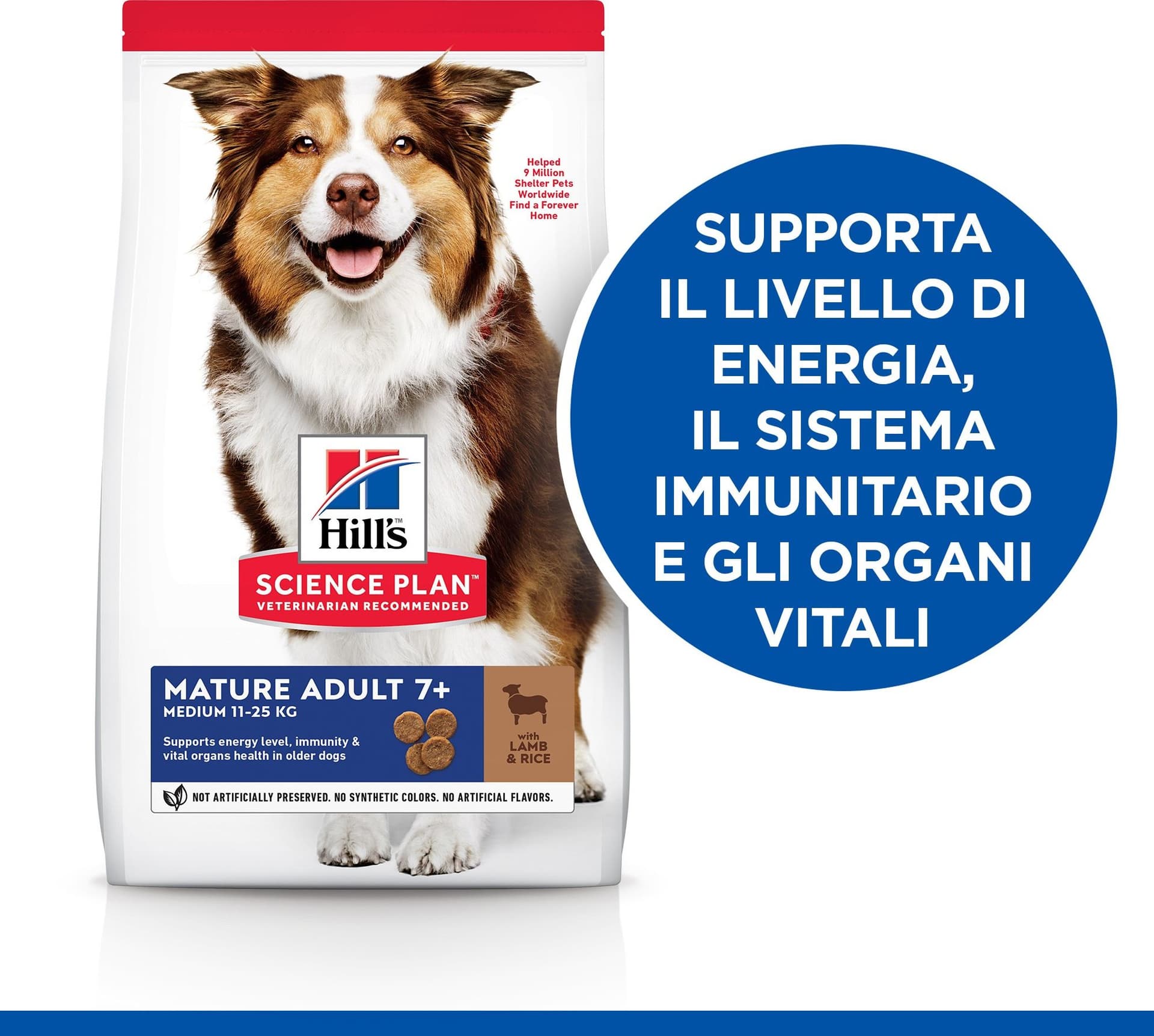 Hill's Mantenimento secco Cani Mature Medium agnello e riso 12 kg in Secco 101 Market - Poggibonsi, commercioVirtuoso.it