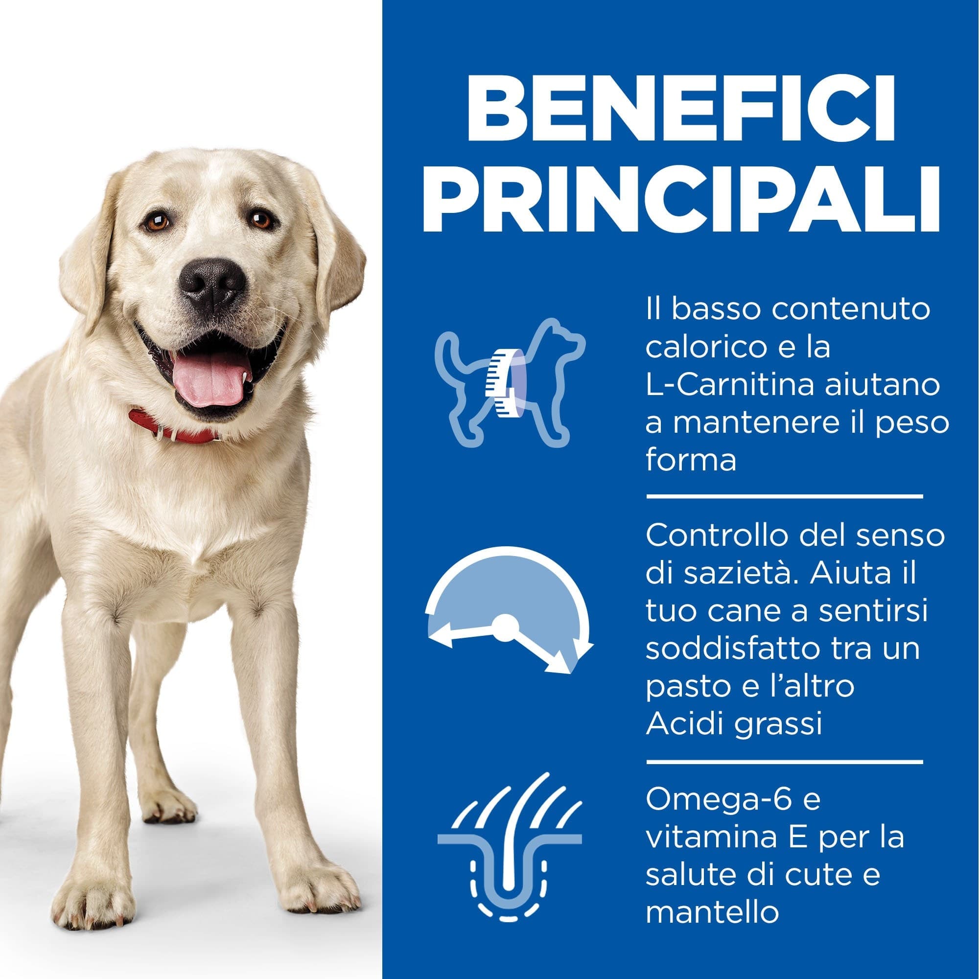 Hill's Light secco Cani Adulti Large pollo 12 kg in Secco 101 Market - Poggibonsi, commercioVirtuoso.it