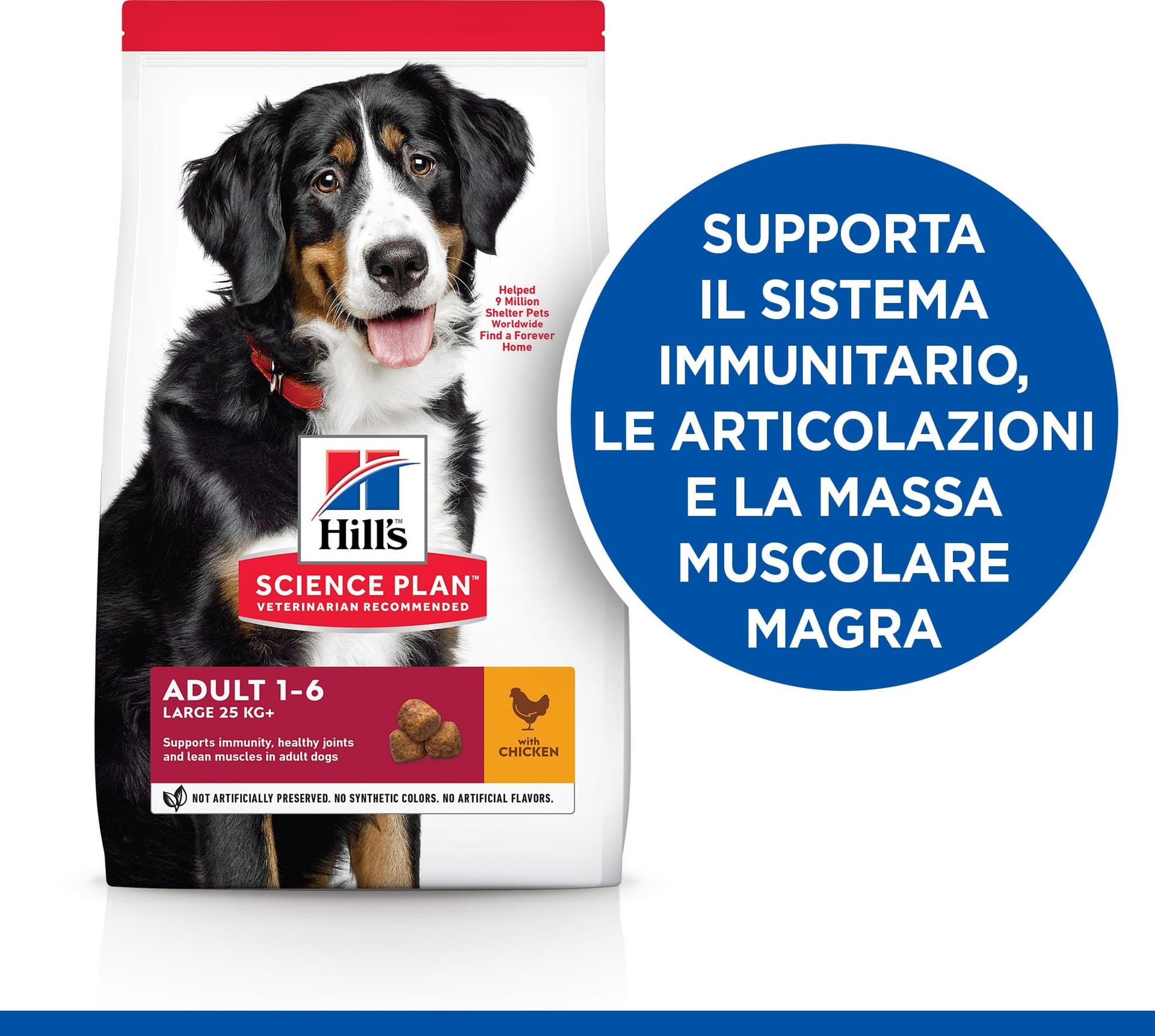 Hill's Mantenimento secco Cani Adulti Large pollo in Secco 101 Market - Poggibonsi, commercioVirtuoso.it